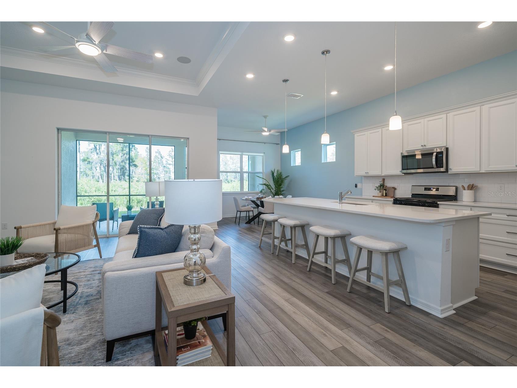 18629 Coastal Shore Terrace Land O Lakes FL 34638 TB8425979 image25