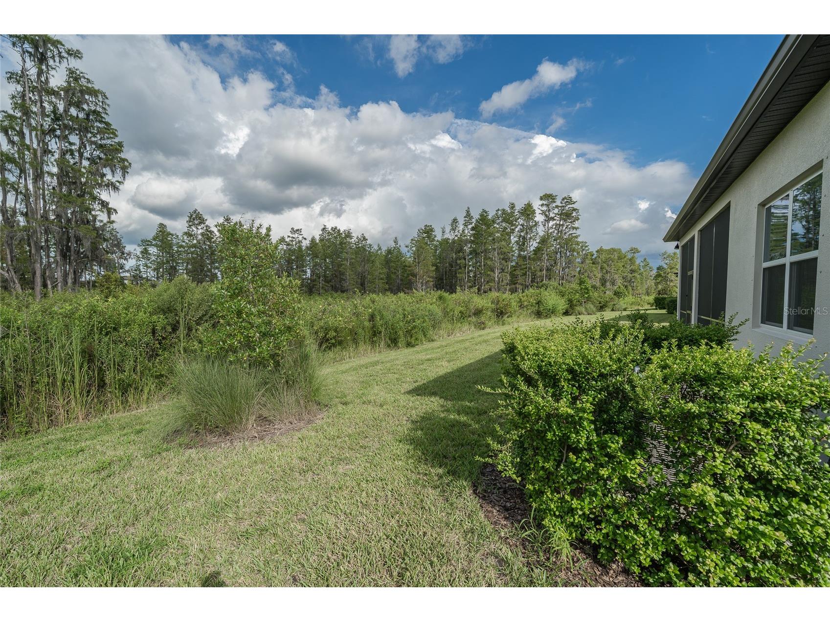 18629 Coastal Shore Terrace Land O Lakes FL 34638 TB8425979 image41