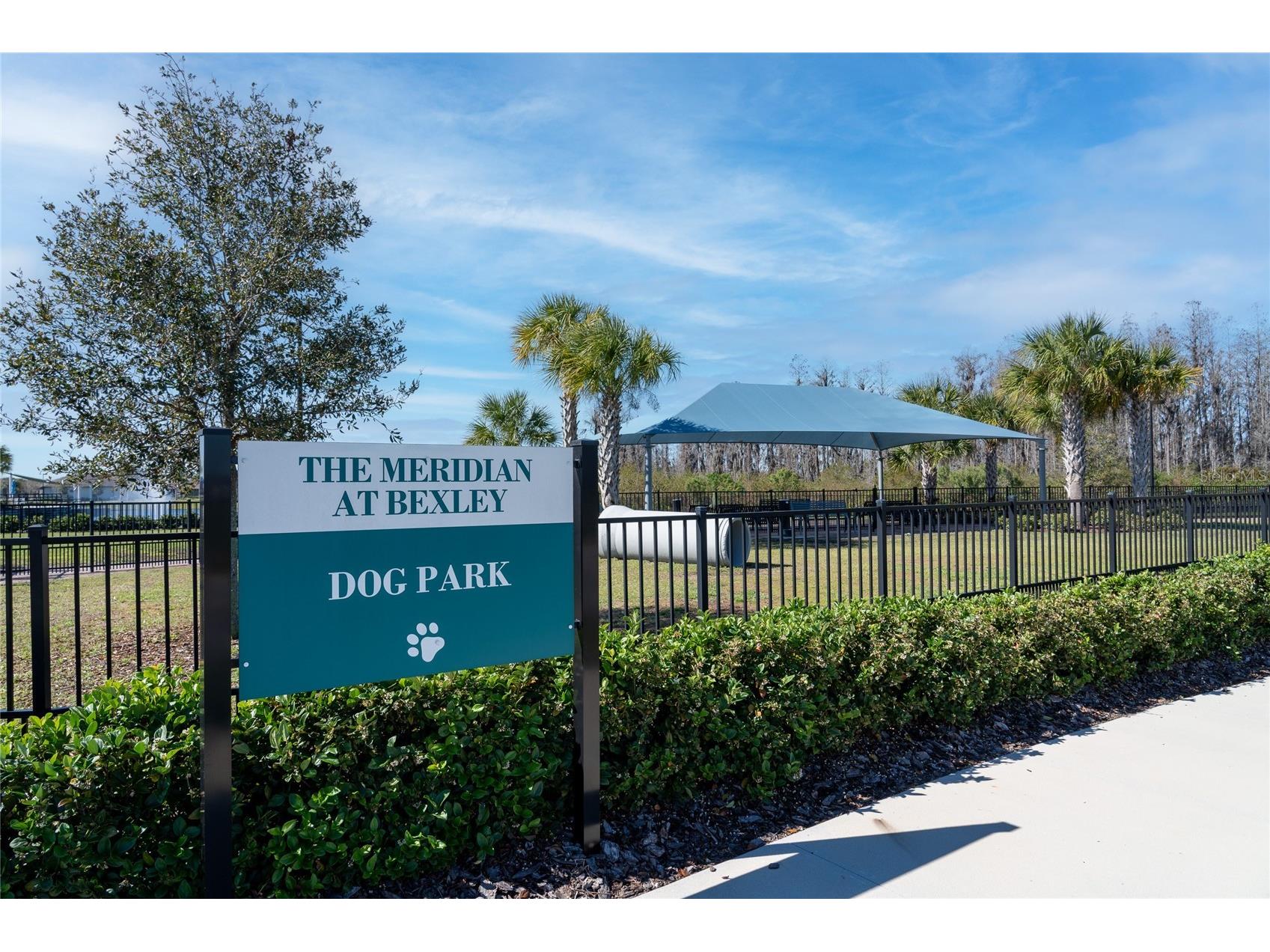 18629 Coastal Shore Terrace Land O Lakes FL 34638 TB8425979 image55