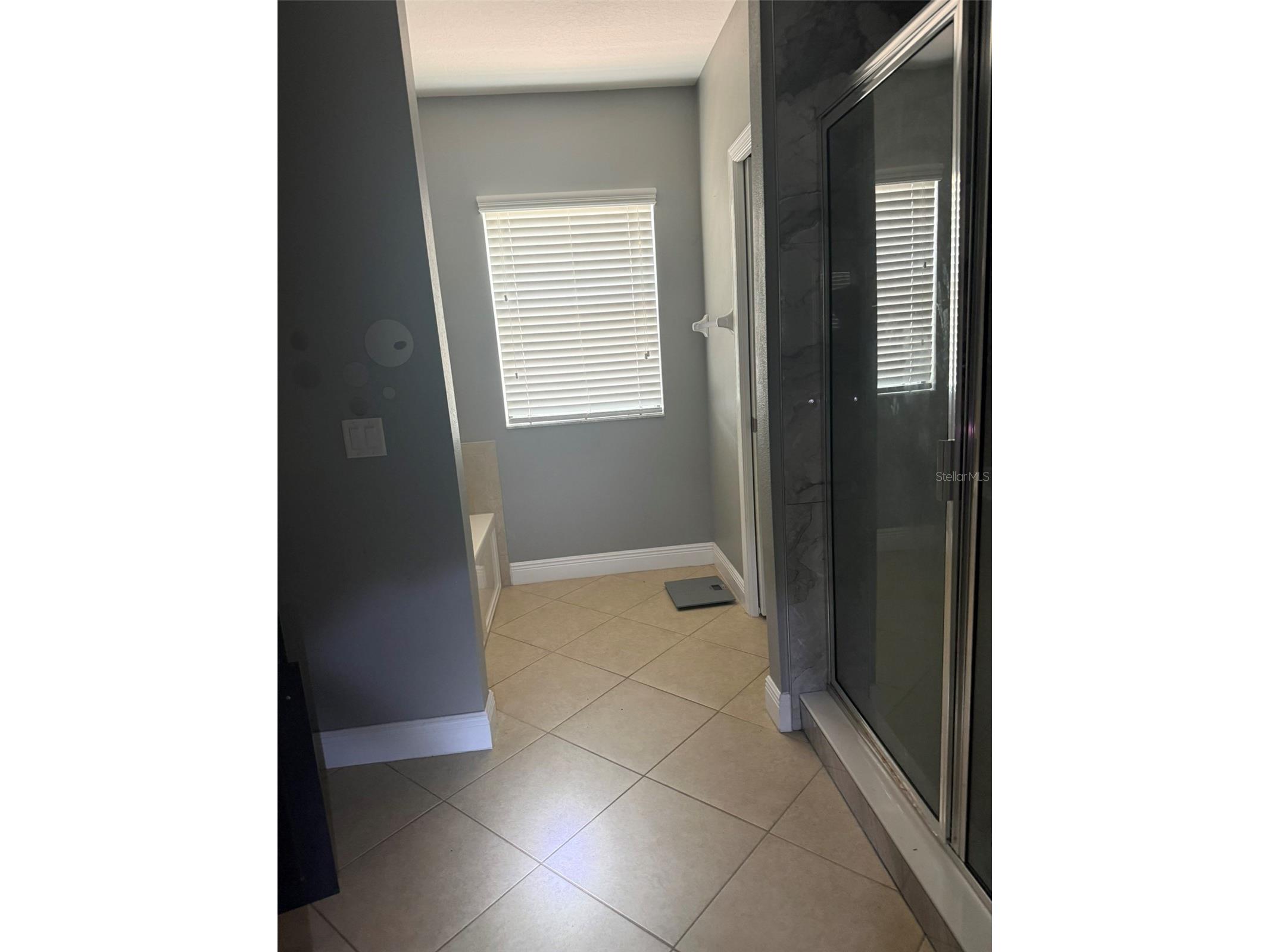 1863 Altavista Circle Lakeland FL 33810 TB8514772 image12