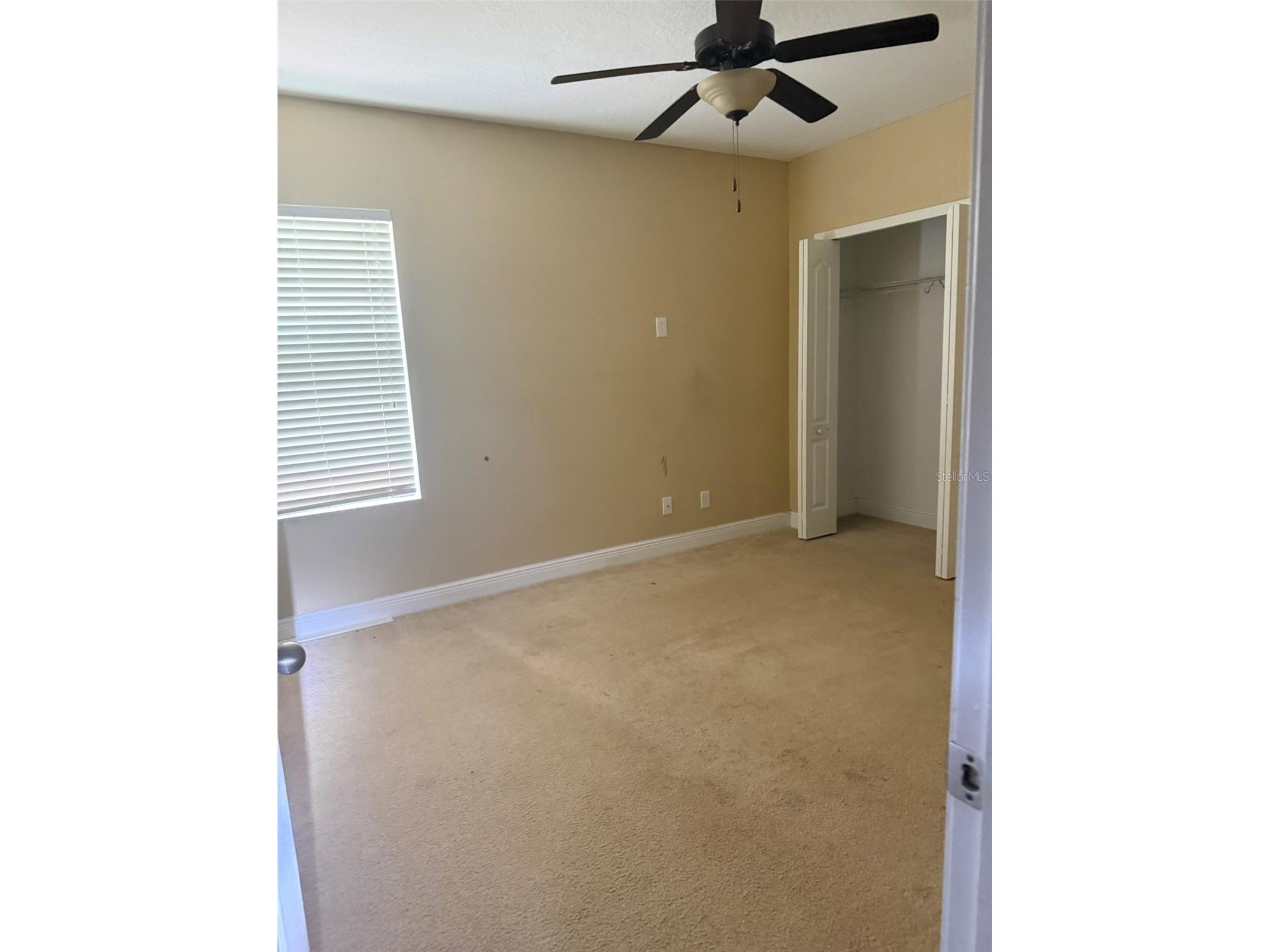 1863 Altavista Circle Lakeland FL 33810 TB8514772 image13