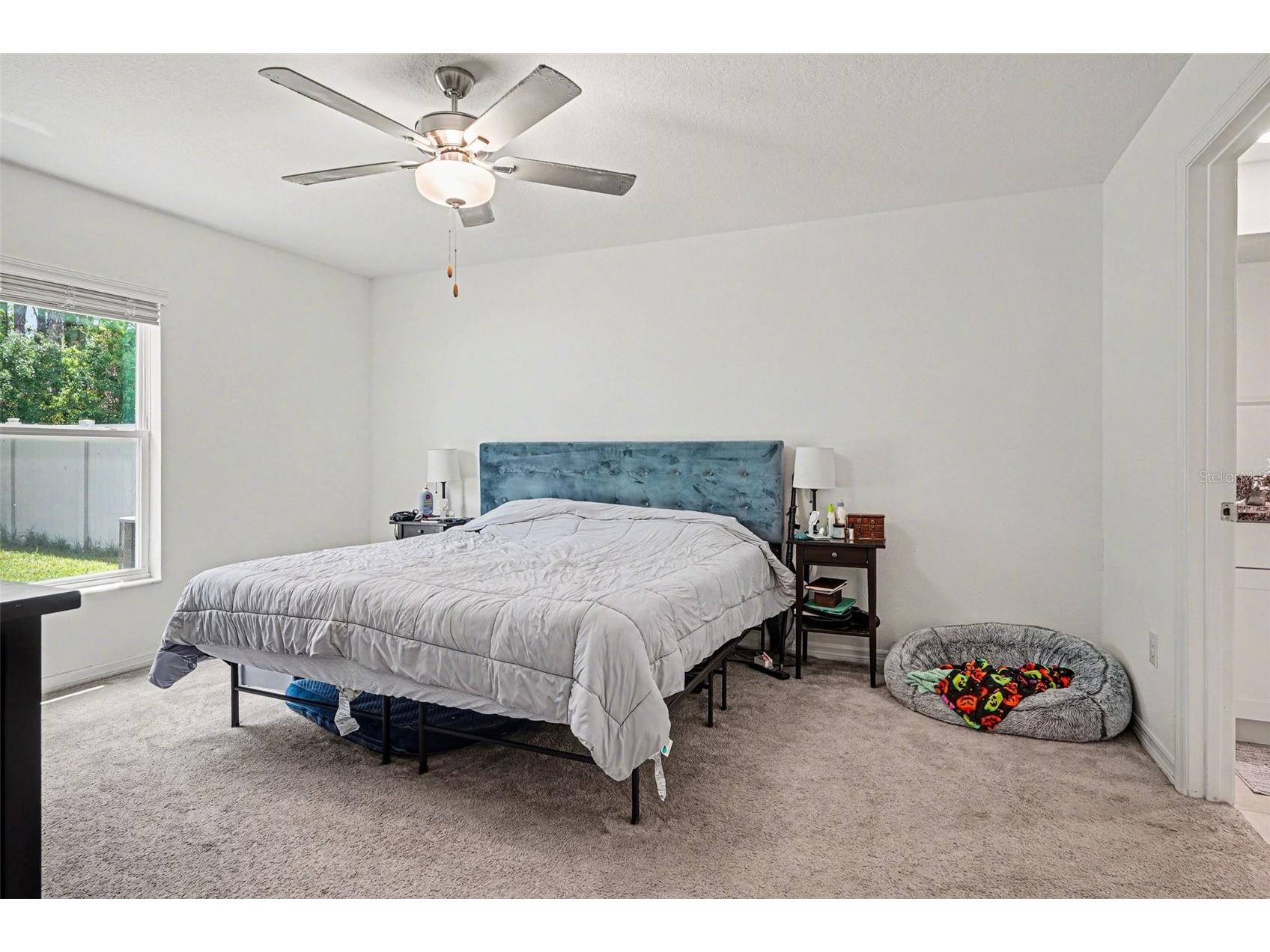 1863 Yellow Trail Lakeland FL 33801 TB8499832 image16