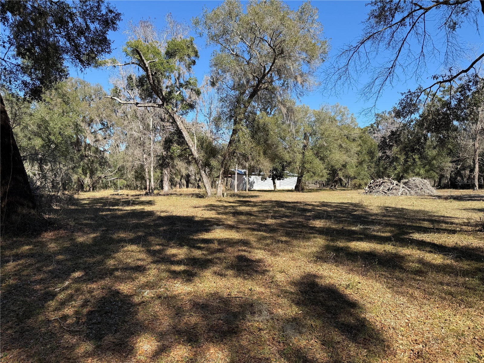 18630 Bradshaw Road Dade City FL 33523 G5107013 image14