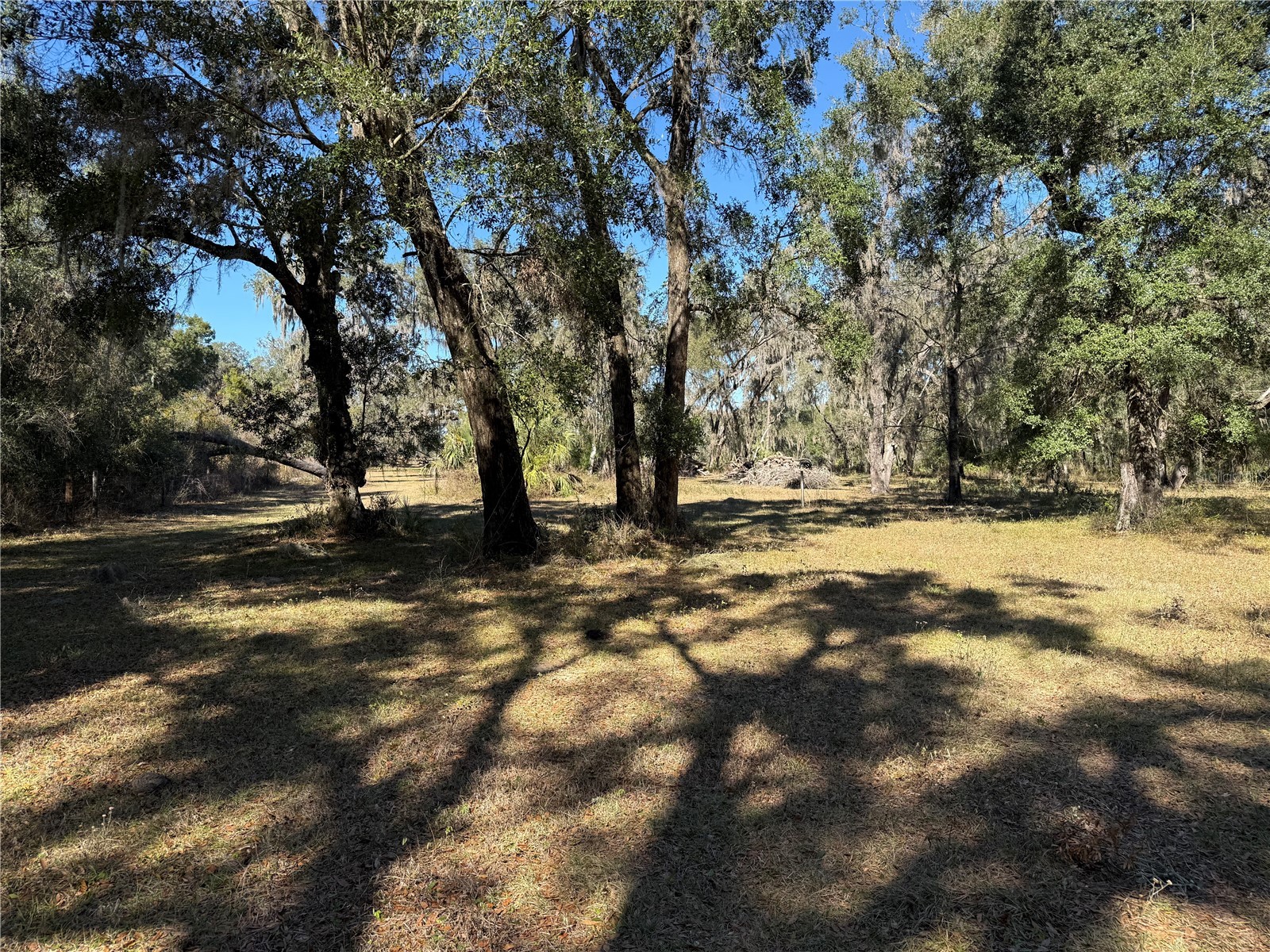 18630 Bradshaw Road Dade City FL 33523 G5107013 image18