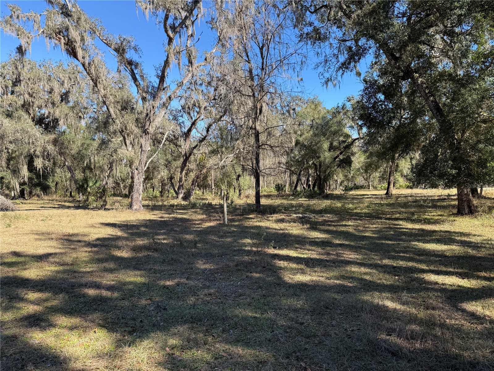 18630 Bradshaw Road Dade City FL 33523 G5107013 image20