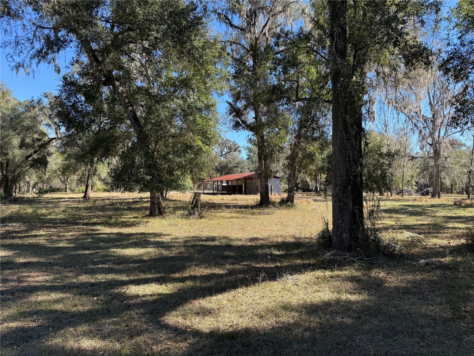 18630 Bradshaw Road Dade City FL 33523 G5107013 image21