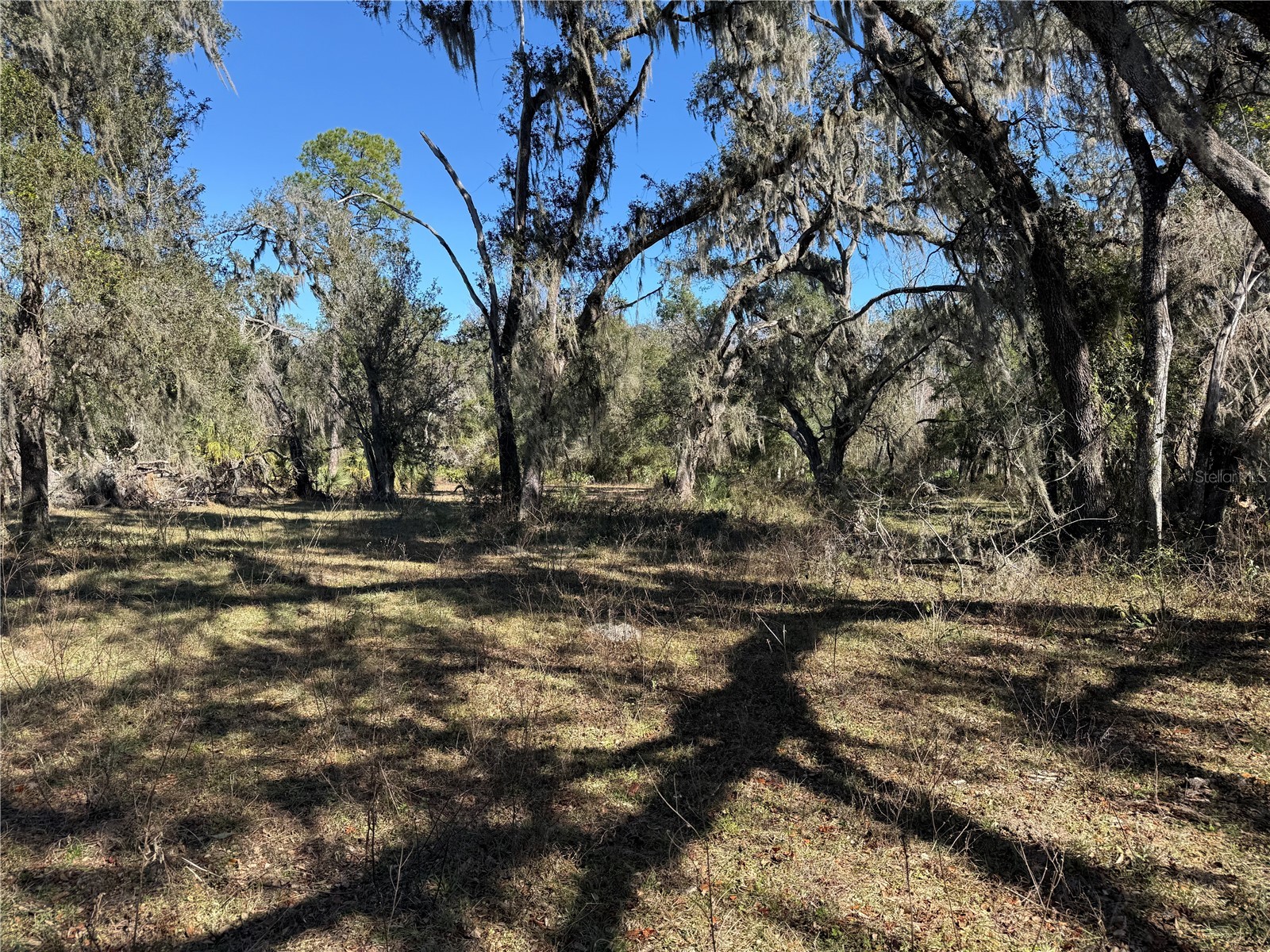 18630 Bradshaw Road Dade City FL 33523 G5107013 image22