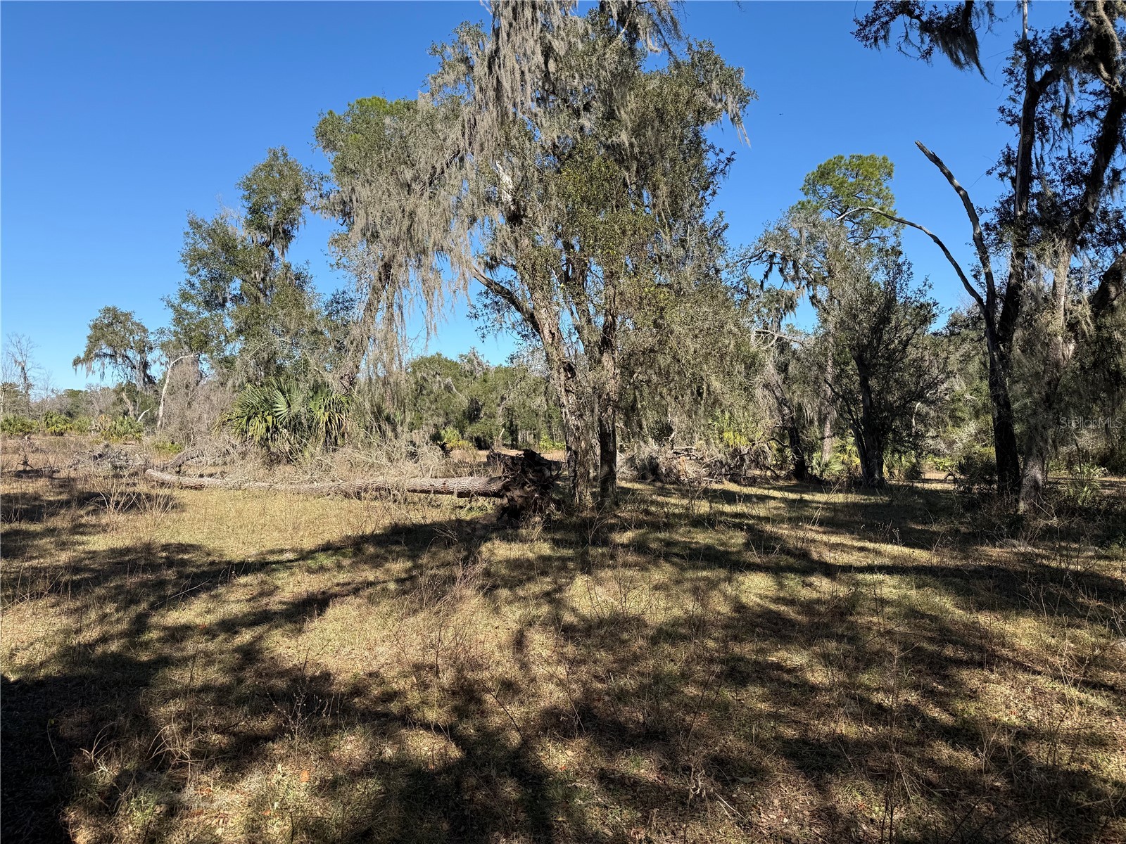 18630 Bradshaw Road Dade City FL 33523 G5107013 image23