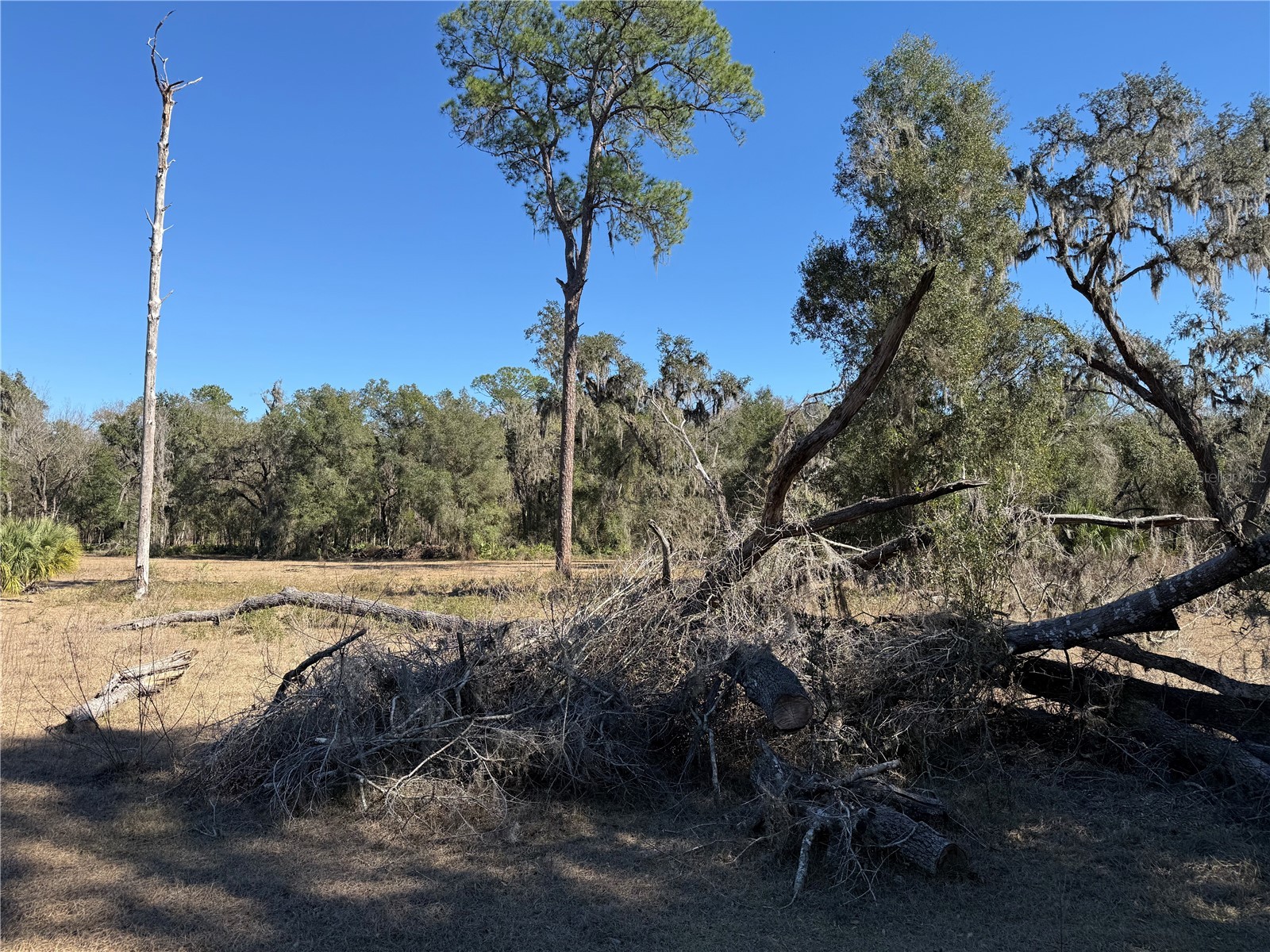 18630 Bradshaw Road Dade City FL 33523 G5107013 image25