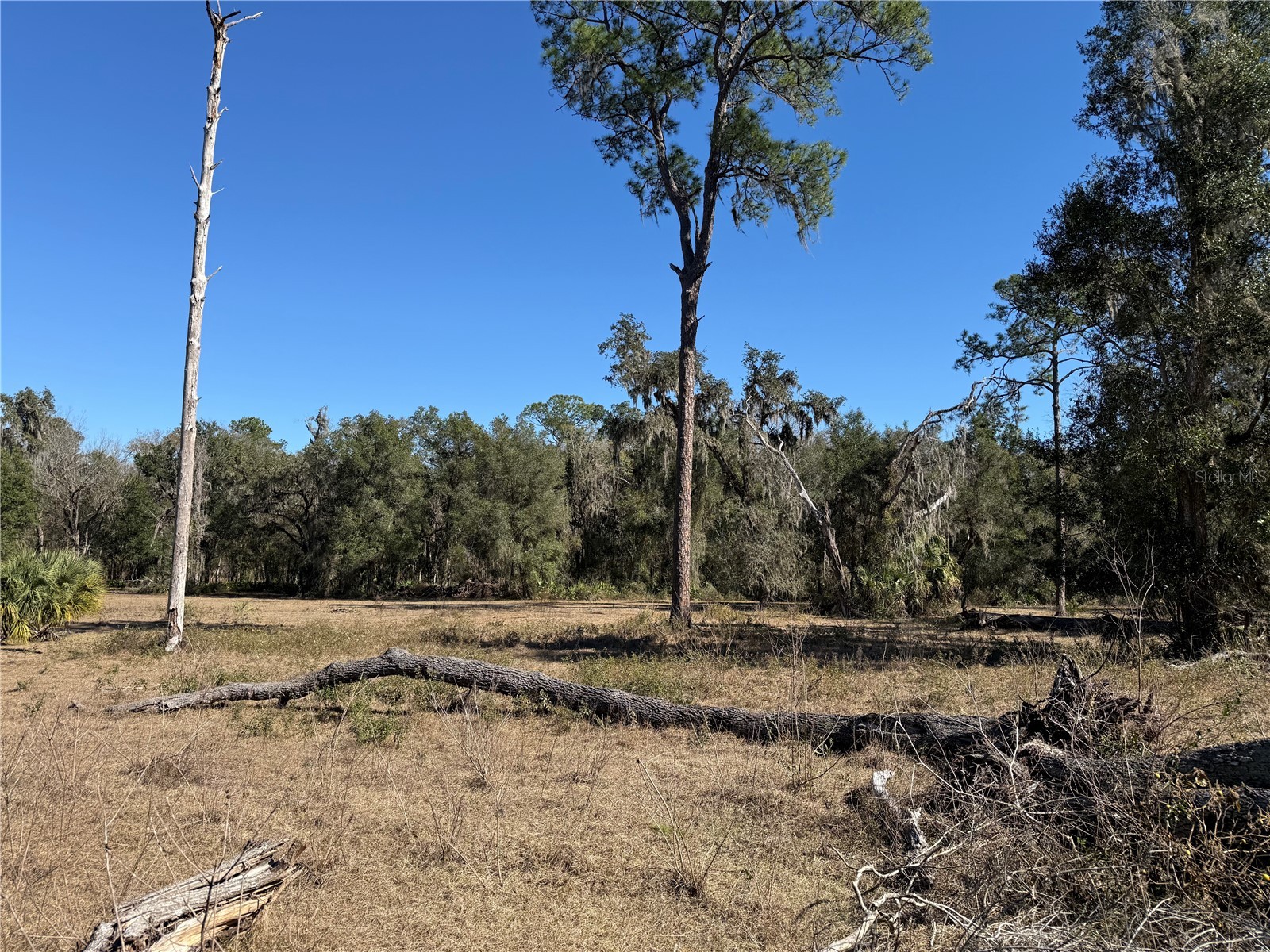 18630 Bradshaw Road Dade City FL 33523 G5107013 image26