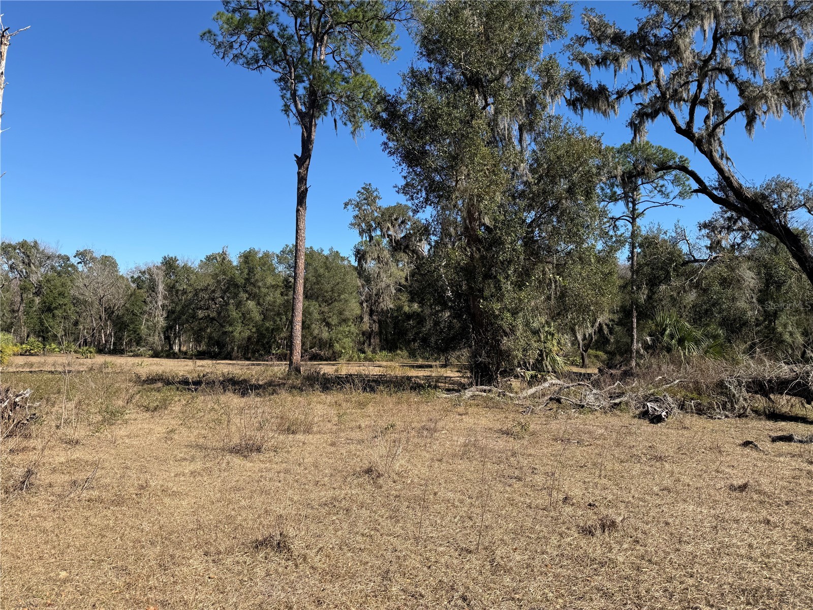 18630 Bradshaw Road Dade City FL 33523 G5107013 image28