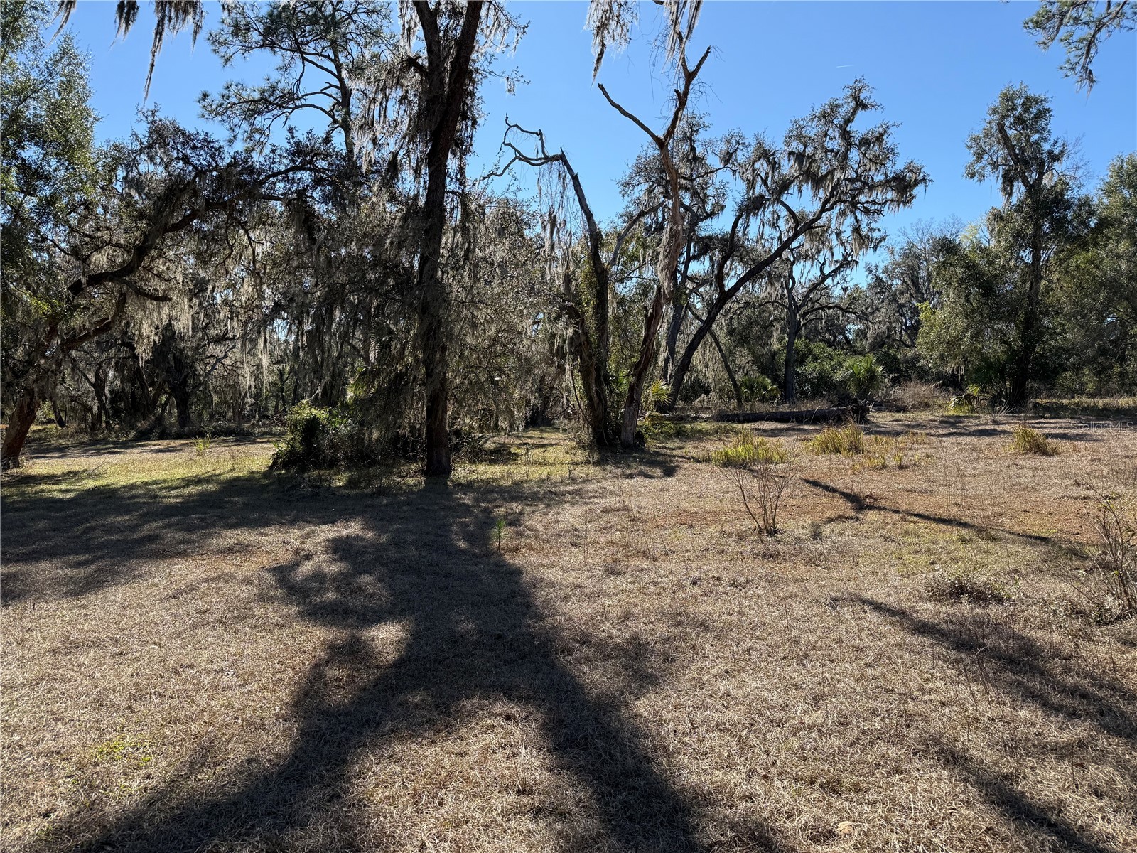 18630 Bradshaw Road Dade City FL 33523 G5107013 image29