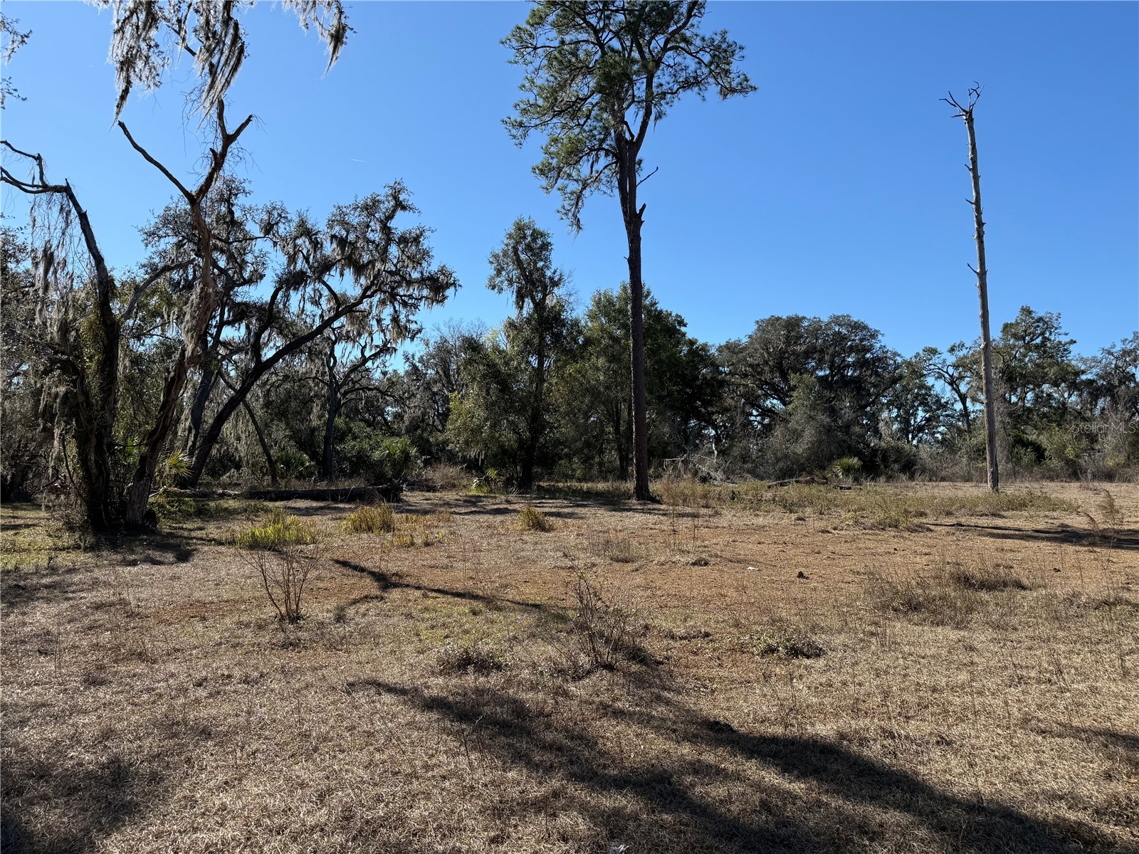 18630 Bradshaw Road Dade City FL 33523 G5107013 image30