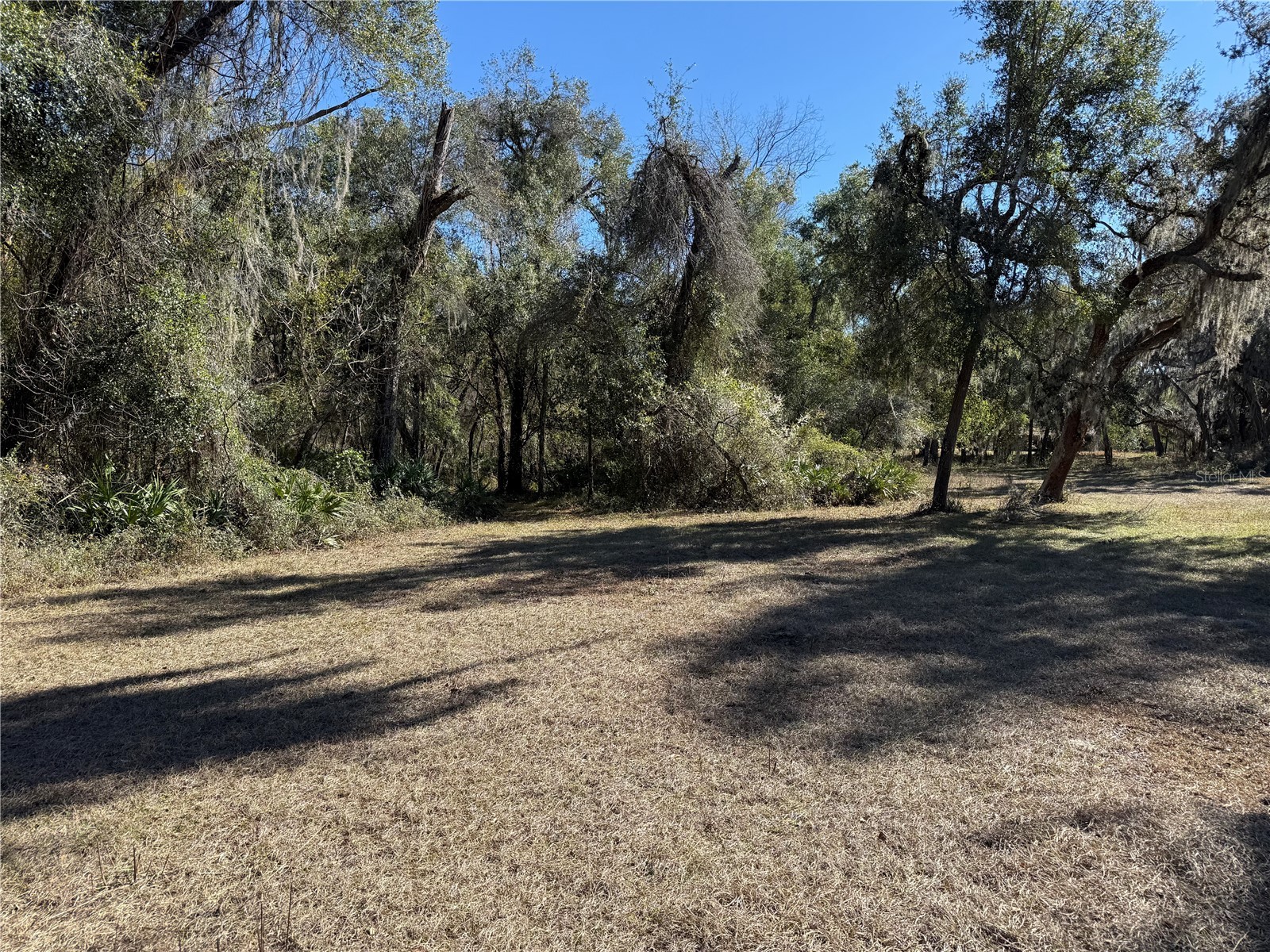 18630 Bradshaw Road Dade City FL 33523 G5107013 image31