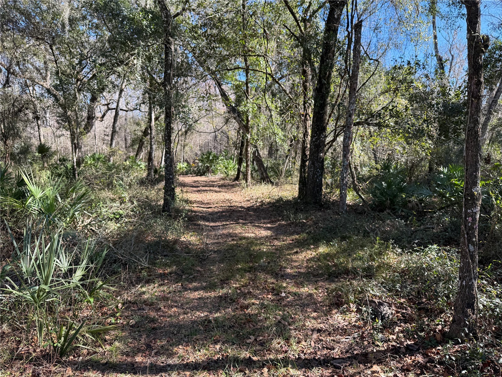 18630 Bradshaw Road Dade City FL 33523 G5107013 image32