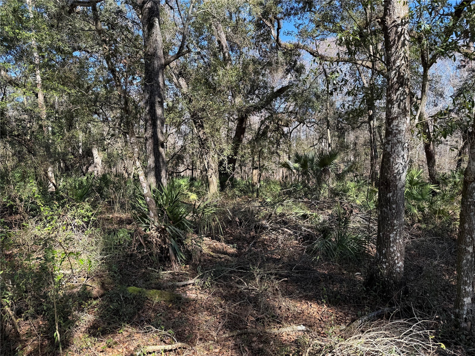 18630 Bradshaw Road Dade City FL 33523 G5107013 image33