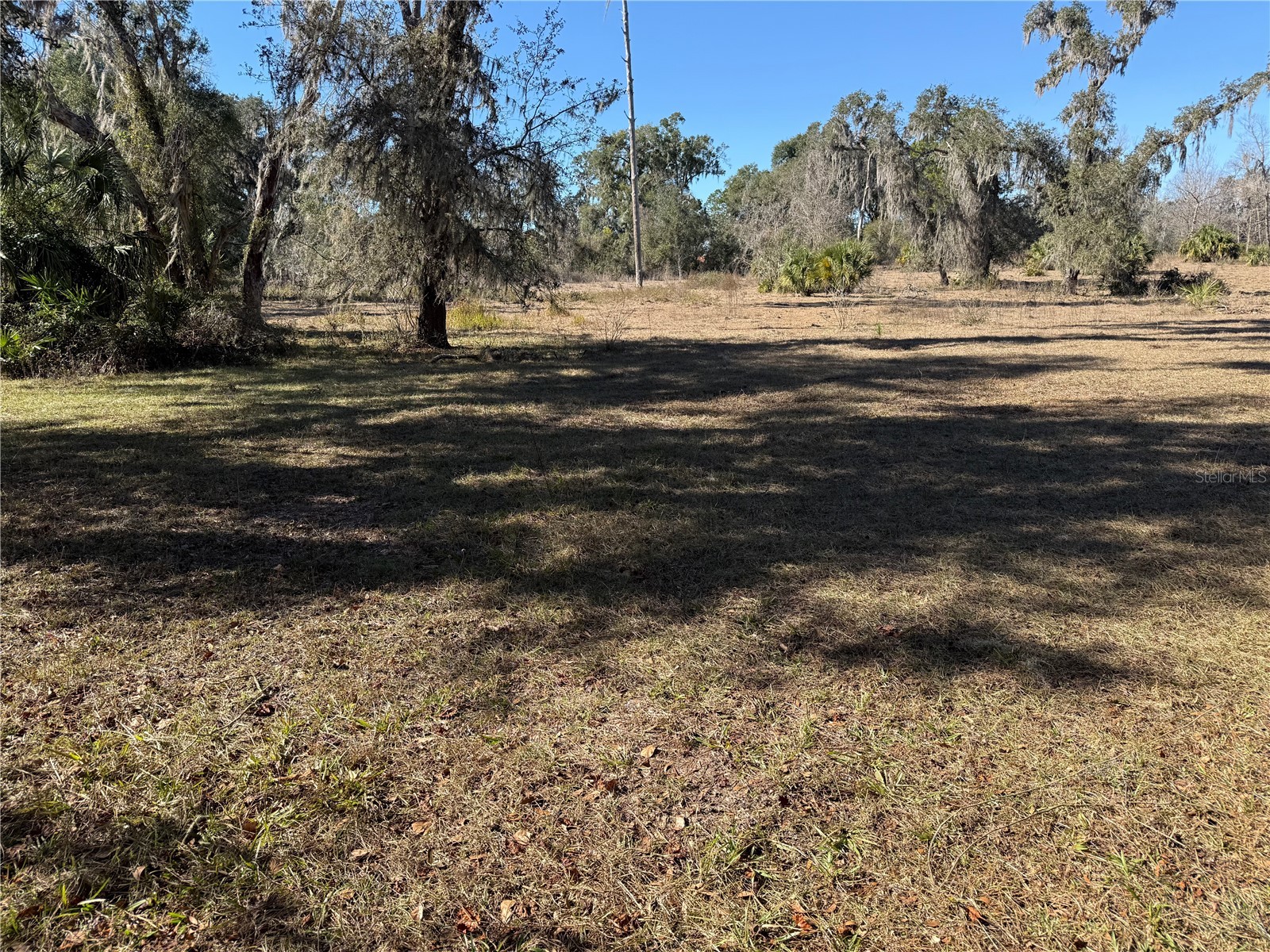 18630 Bradshaw Road Dade City FL 33523 G5107013 image38