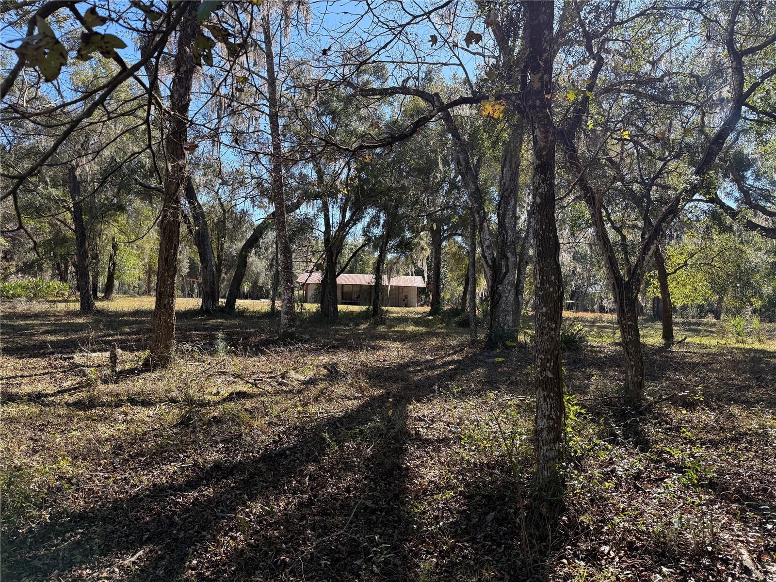 18630 Bradshaw Road Dade City FL 33523 G5107013 image39