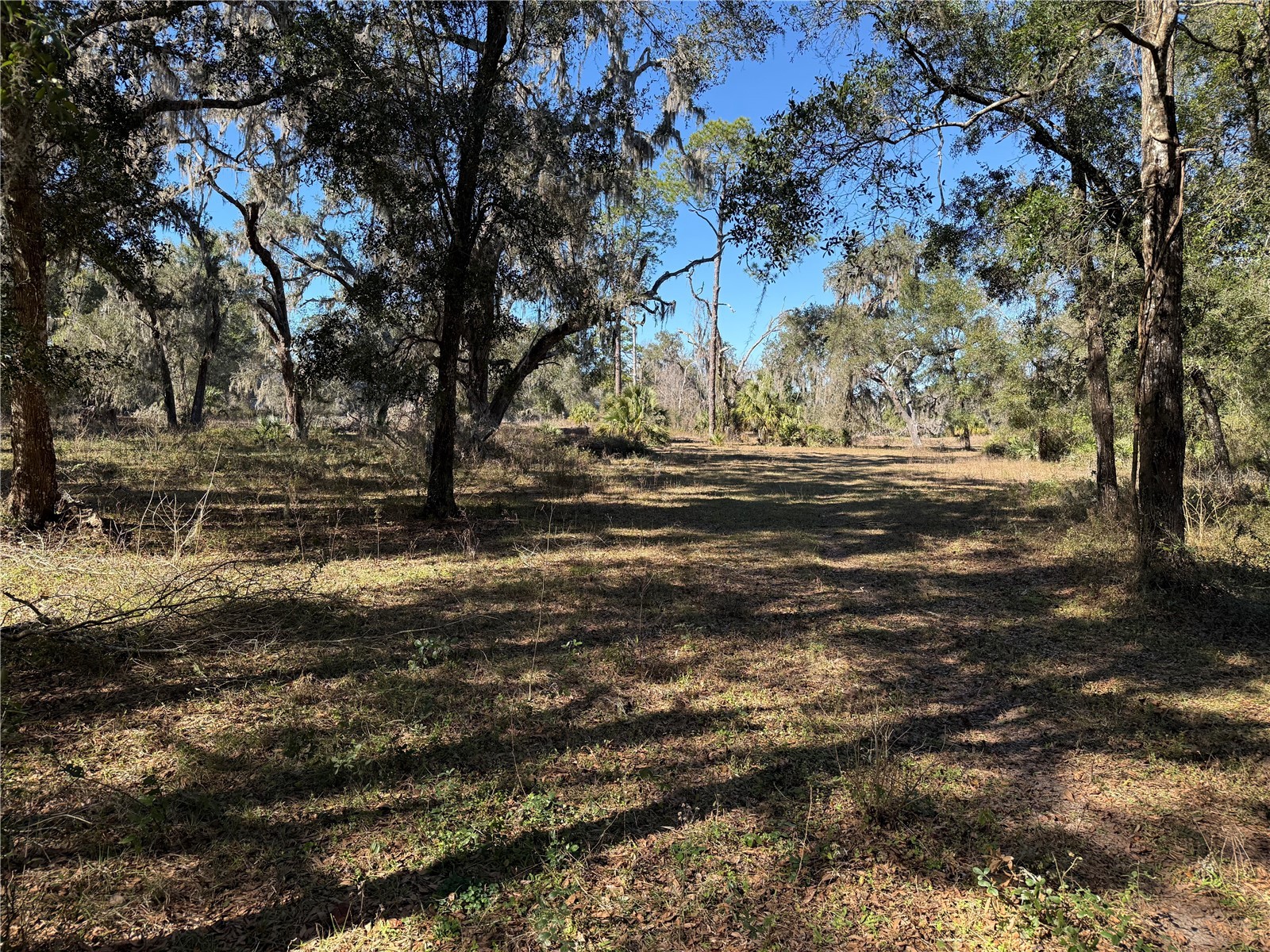 18630 Bradshaw Road Dade City FL 33523 G5107013 image40