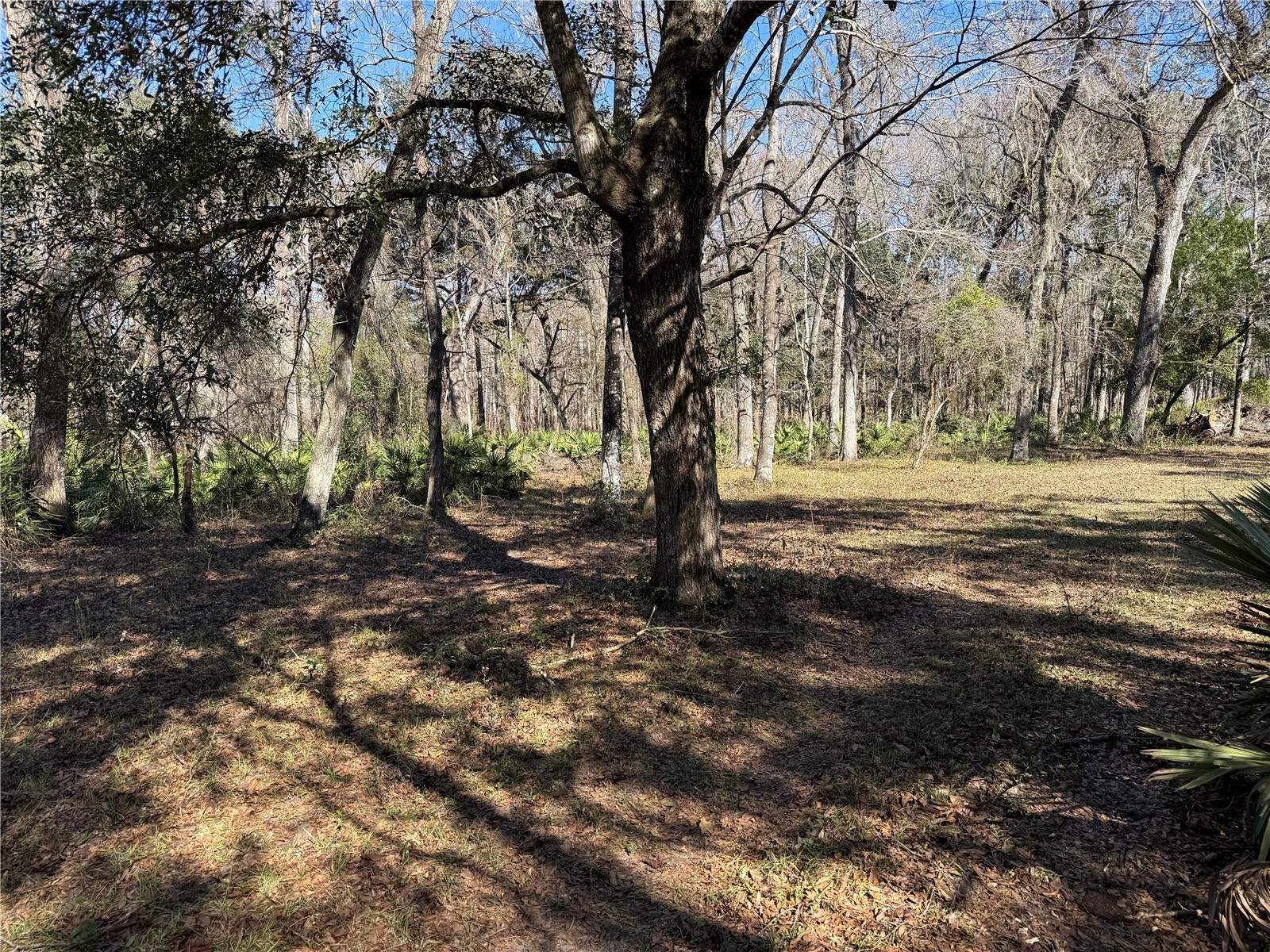 18630 Bradshaw Road Dade City FL 33523 G5107013 image41