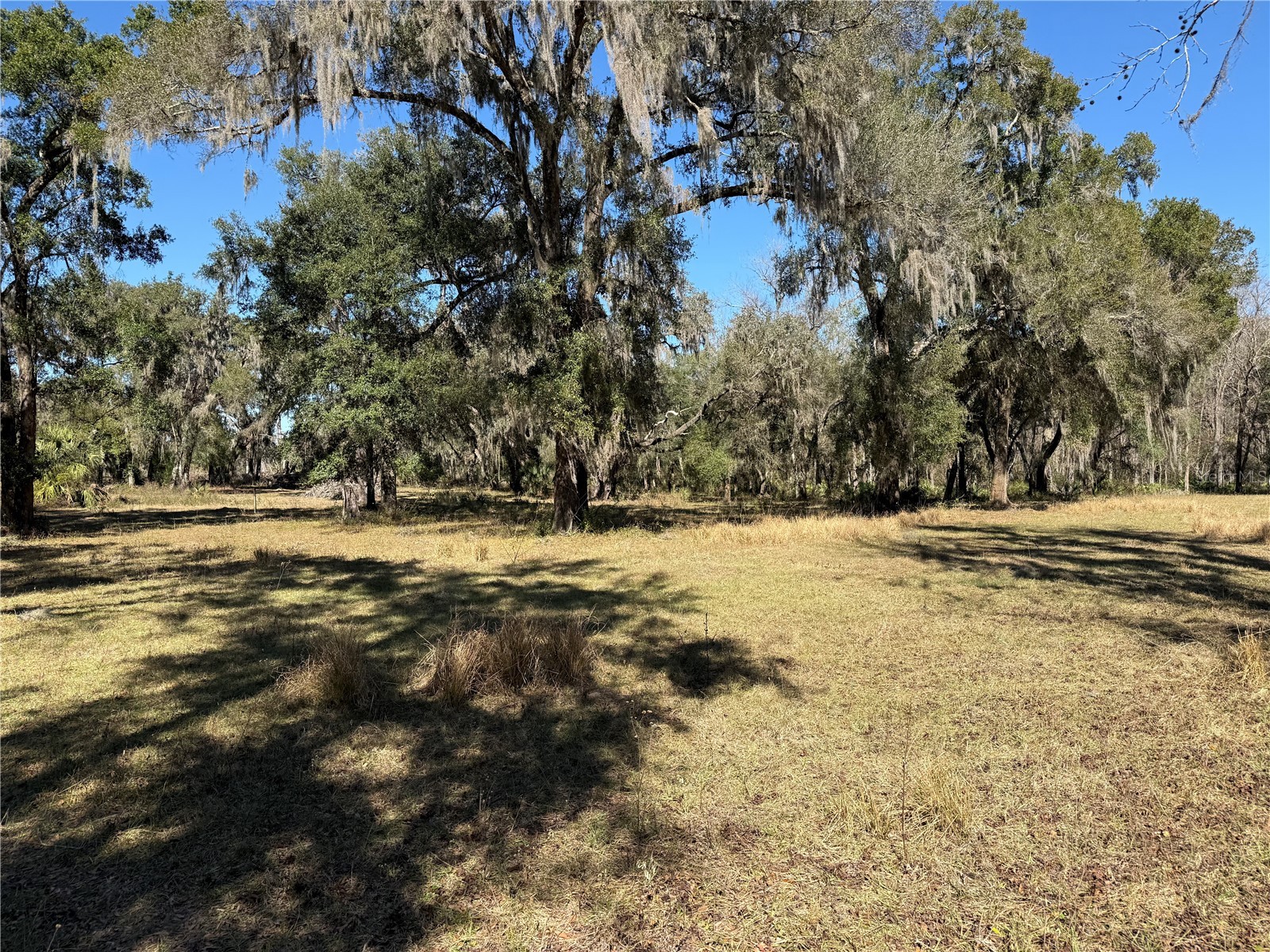 18630 Bradshaw Road Dade City FL 33523 G5107013 image43