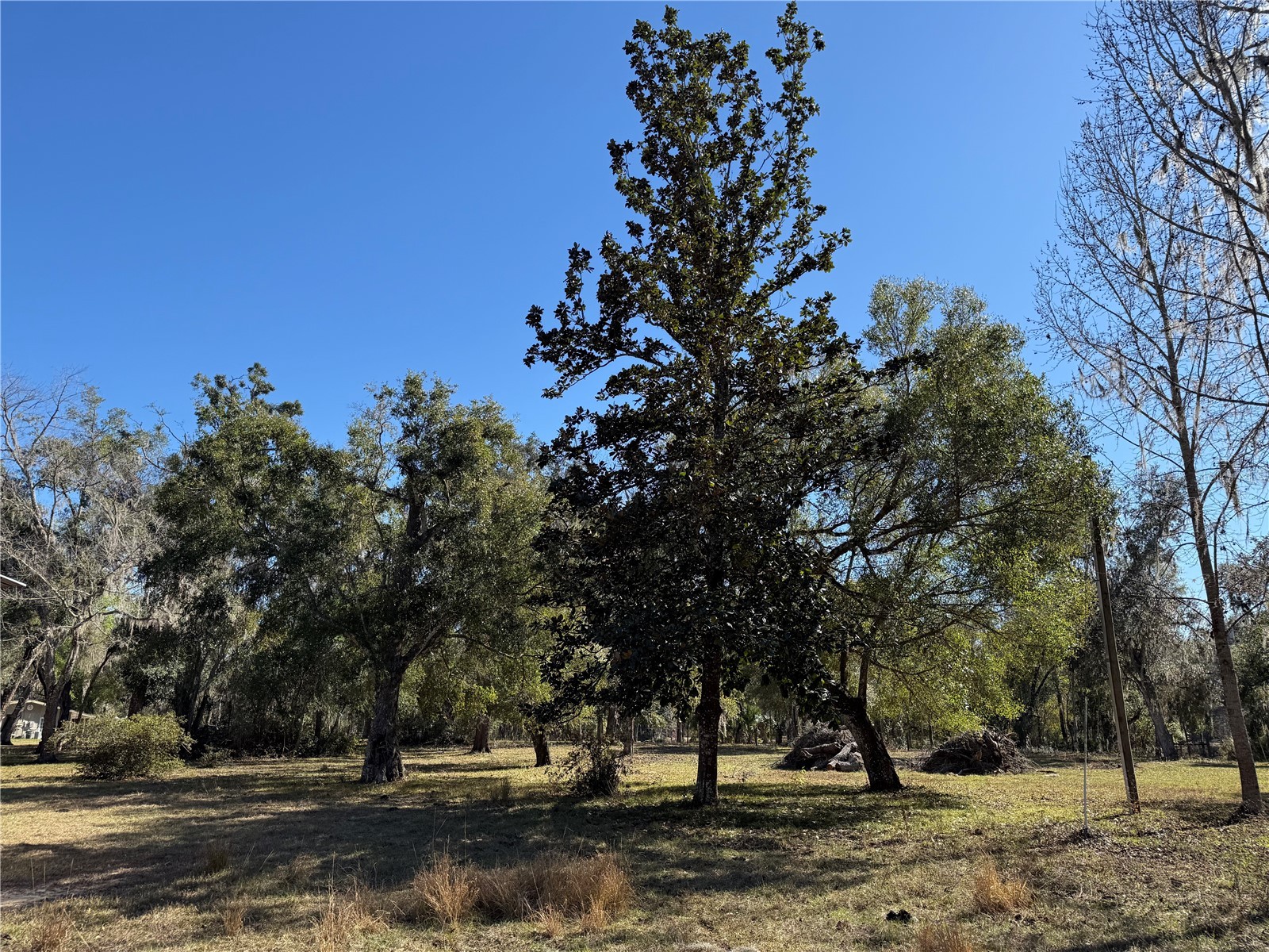 18630 Bradshaw Road Dade City FL 33523 G5107013 image44