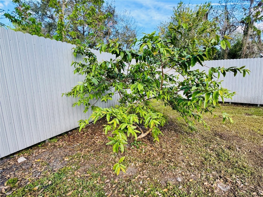 18633 14th Avenue Orlando FL 32833 S5121473 image22