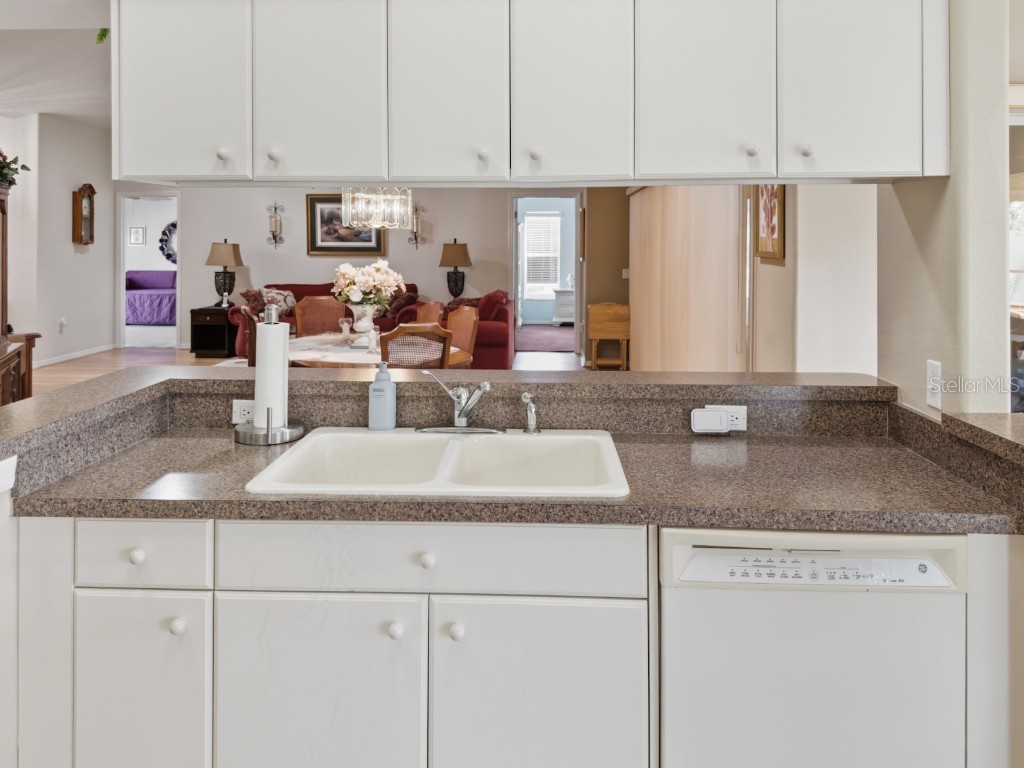 18635 Myrtlewood Drive Hudson FL 34667 W7879365 image21