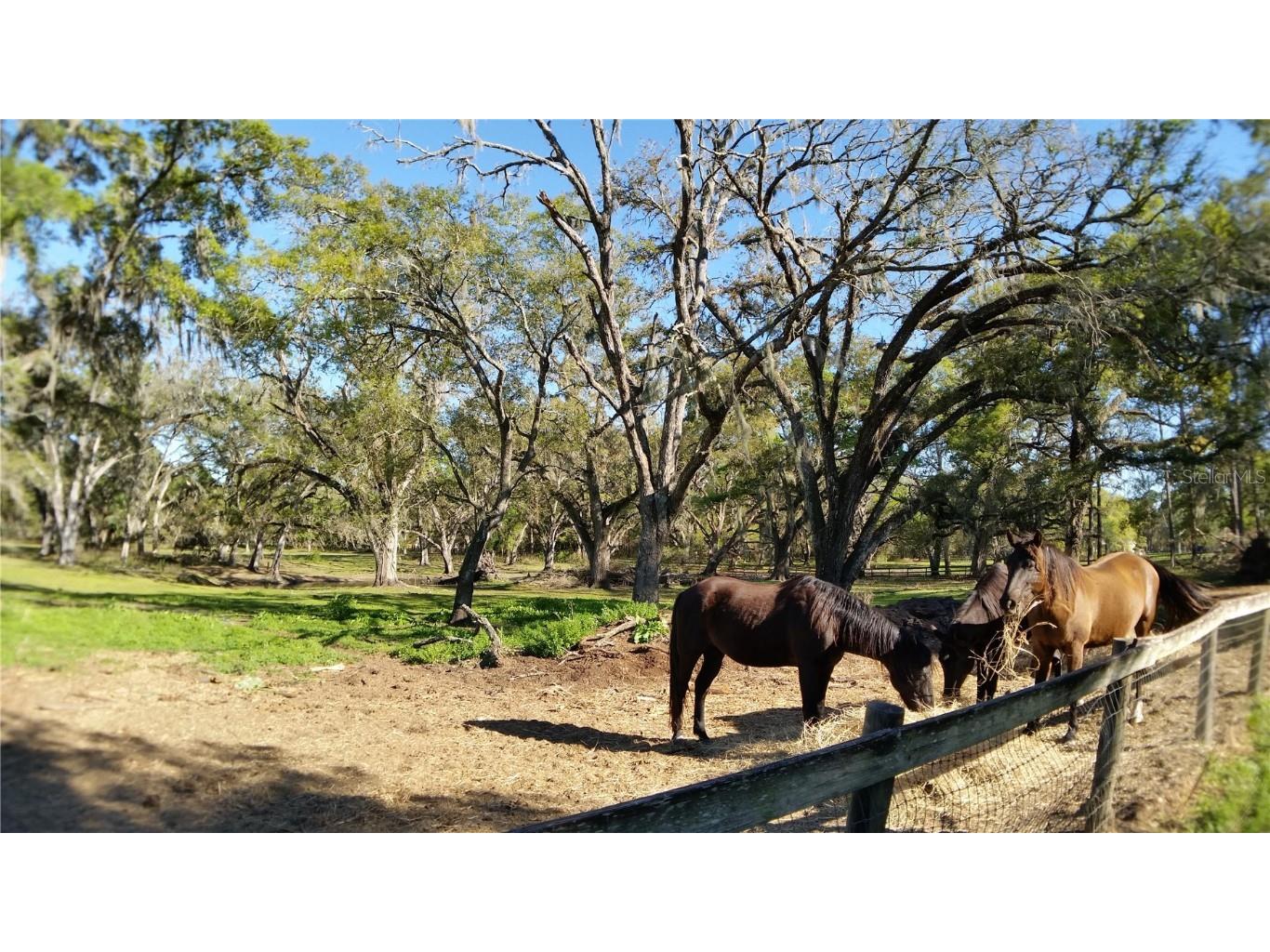 18635 Phillips Road Brooksville FL 34604 W7880063 image12