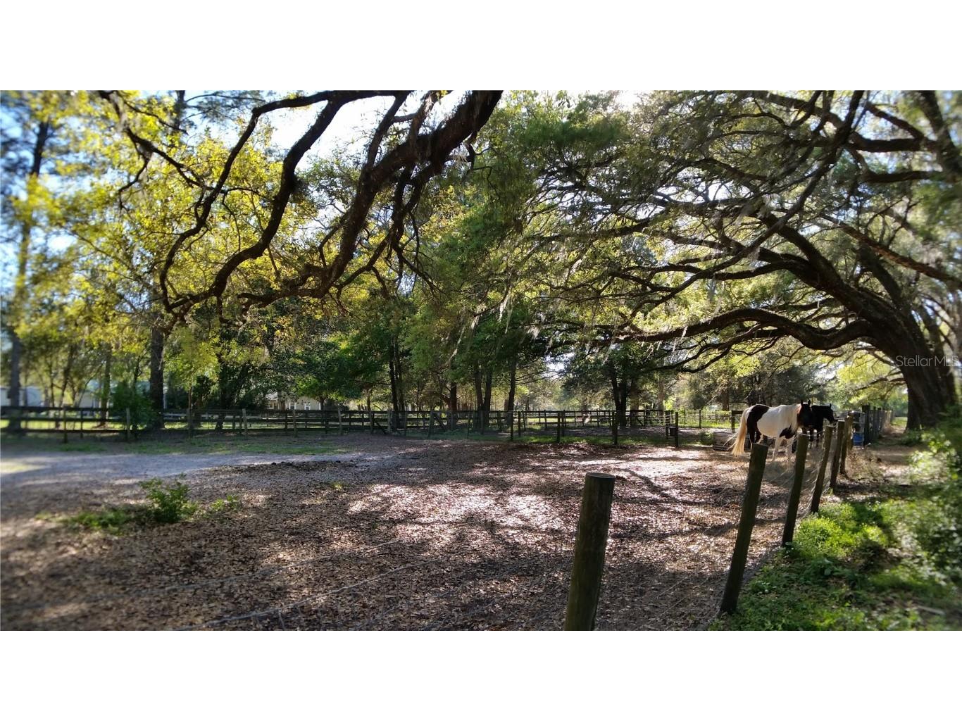 18635 Phillips Road Brooksville FL 34604 W7880063 image13