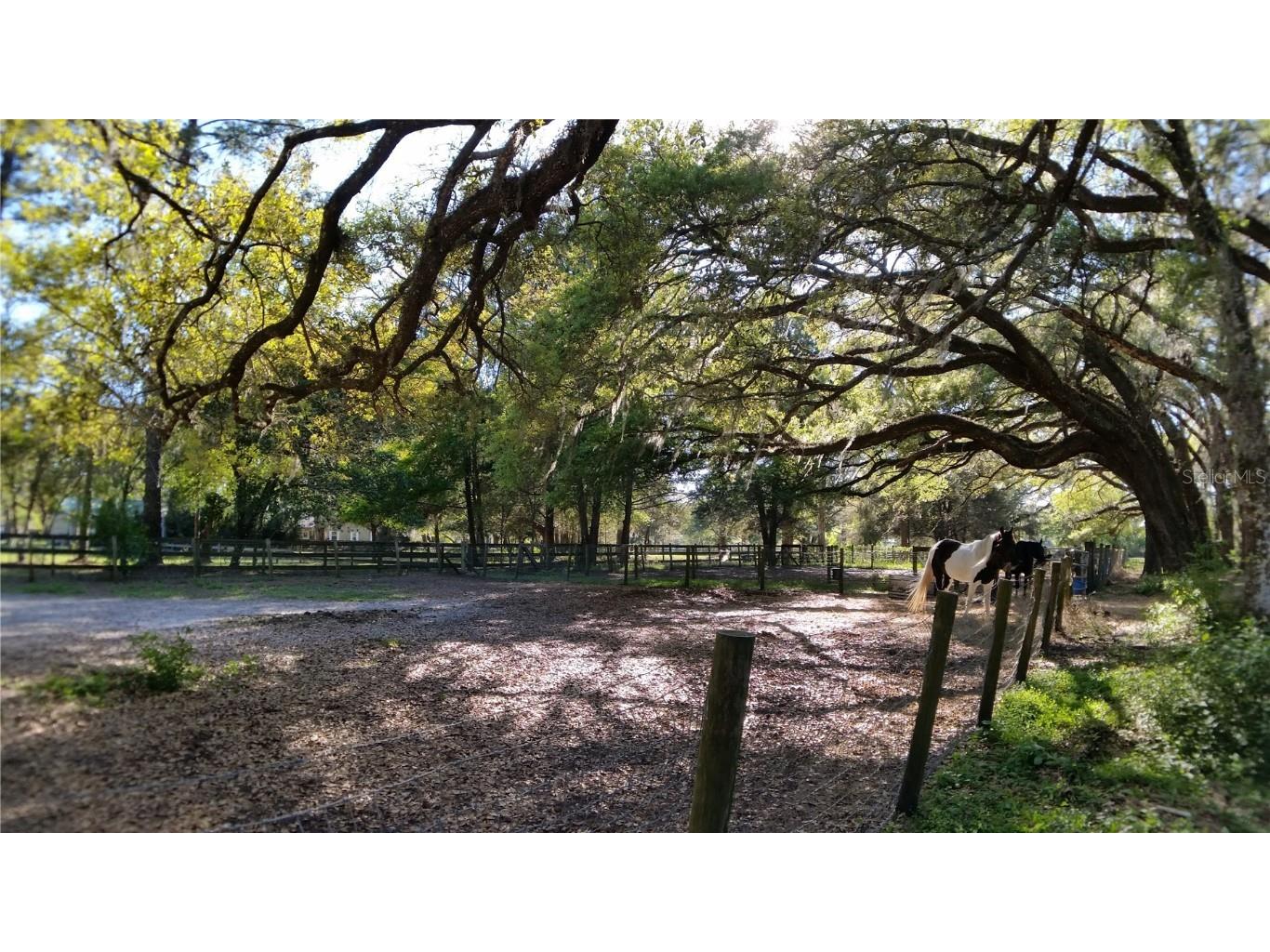 18635 Phillips Road Brooksville FL 34604 W7880063 image14