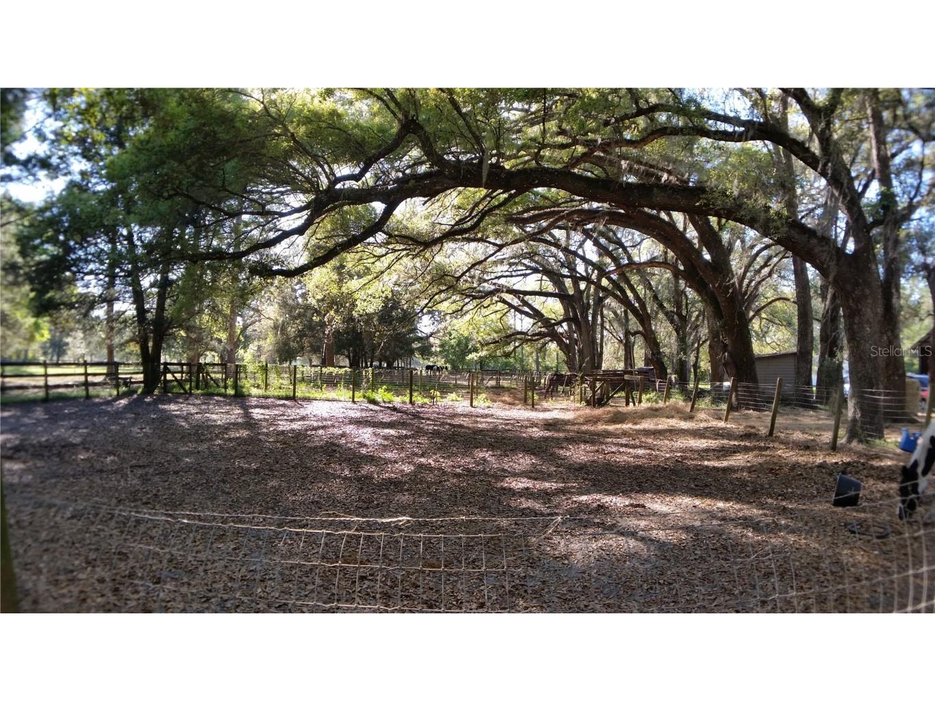 18635 Phillips Road Brooksville FL 34604 W7880063 image17