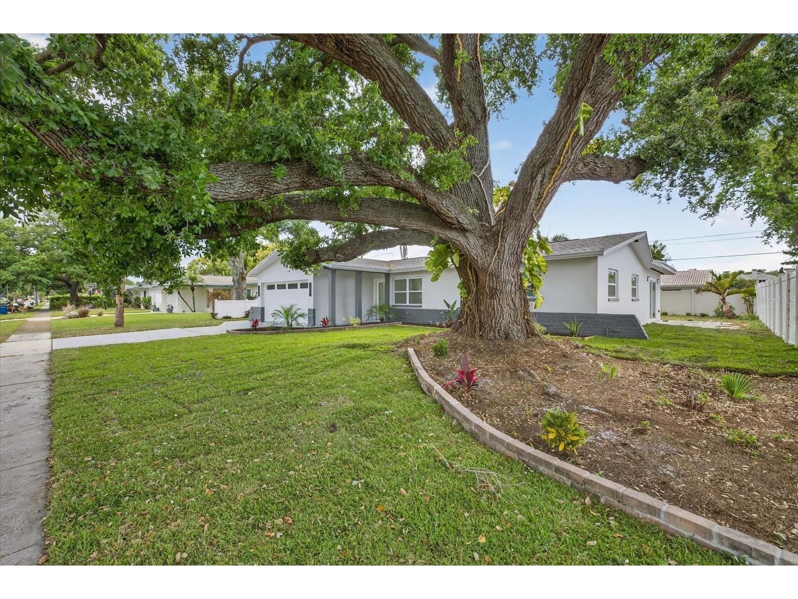 1864 Paradise Lane Clearwater FL 33756 TB8492743 image4