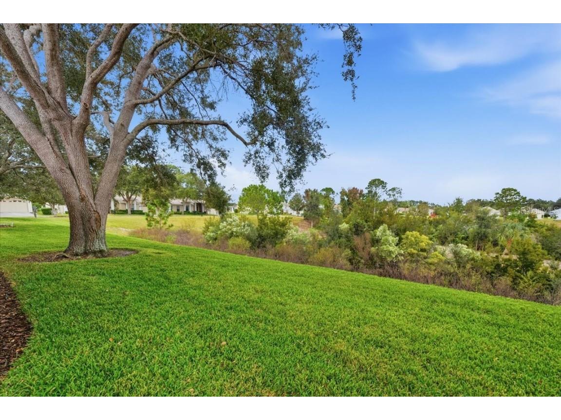 18641 Rolling Hills Loop Hudson FL 34667 TB8447261 image36