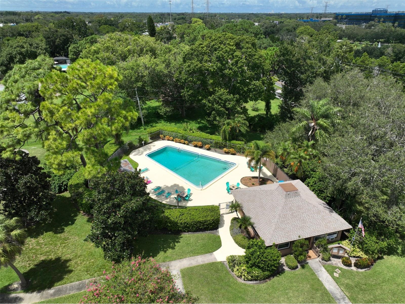 1865 Clearbrooke Drive Clearwater FL 33760 TB8507590 image43