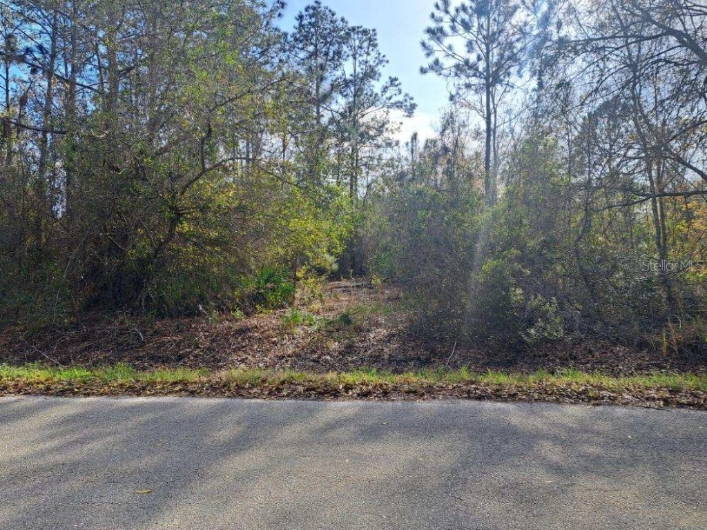 1865 Grey Oak Lane Lorida FL 33857 FC298020 image1