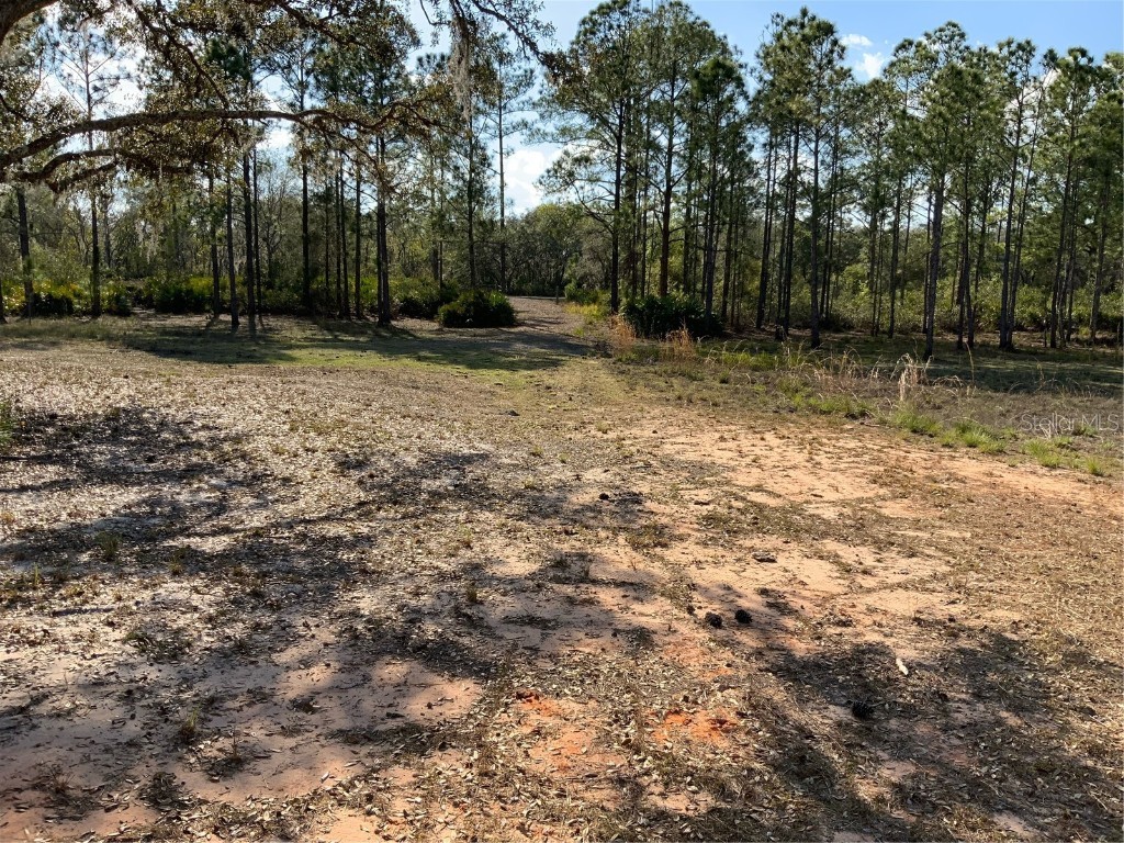 1865 Scrub Jay Trail Frostproof FL 33843 B4901226 image1