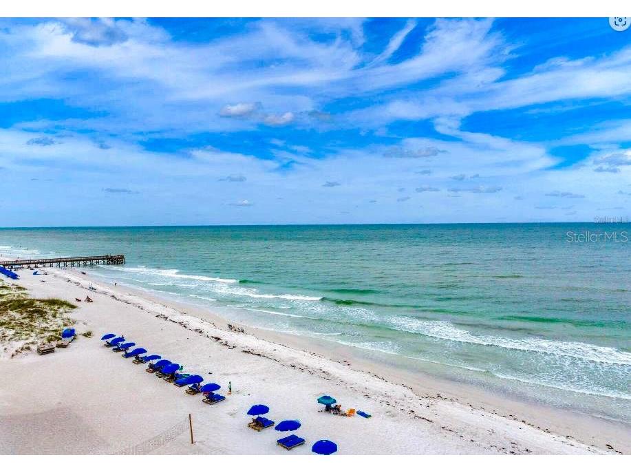 18650 Gulf Boulevard #305 Indian Shores FL 33785 TB8502979 image67