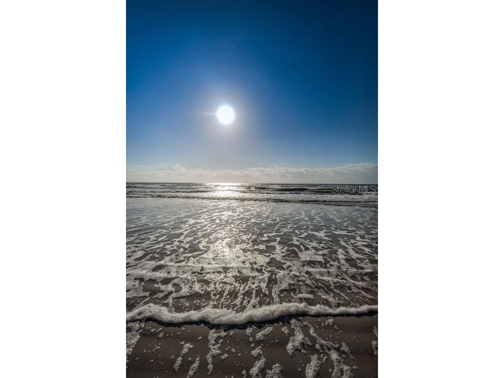 18650 Gulf Boulevard #601 Indian Shores FL 33785 TB8372333 image59