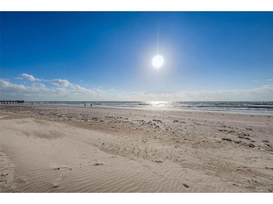 18650 Gulf Boulevard #601 Indian Shores FL 33785 TB8372333 image63