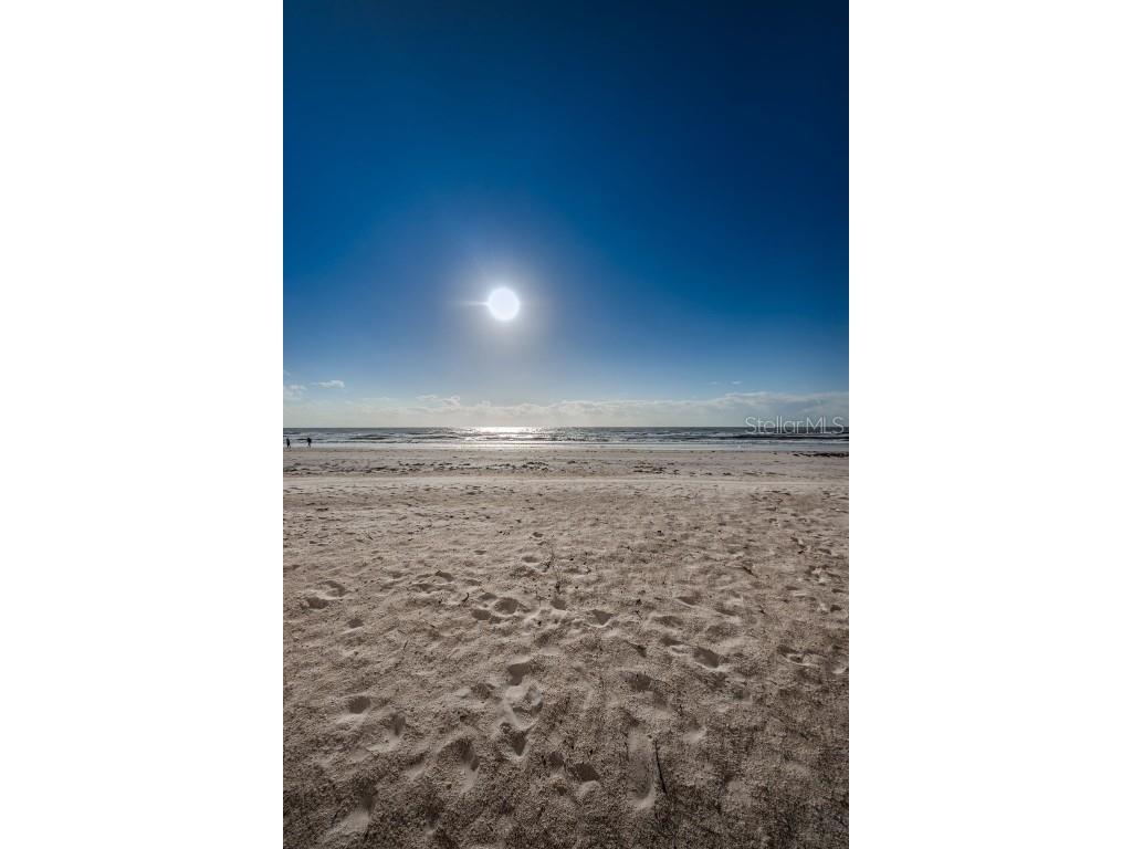 18650 Gulf Boulevard #601 Indian Shores FL 33785 TB8372333 image66