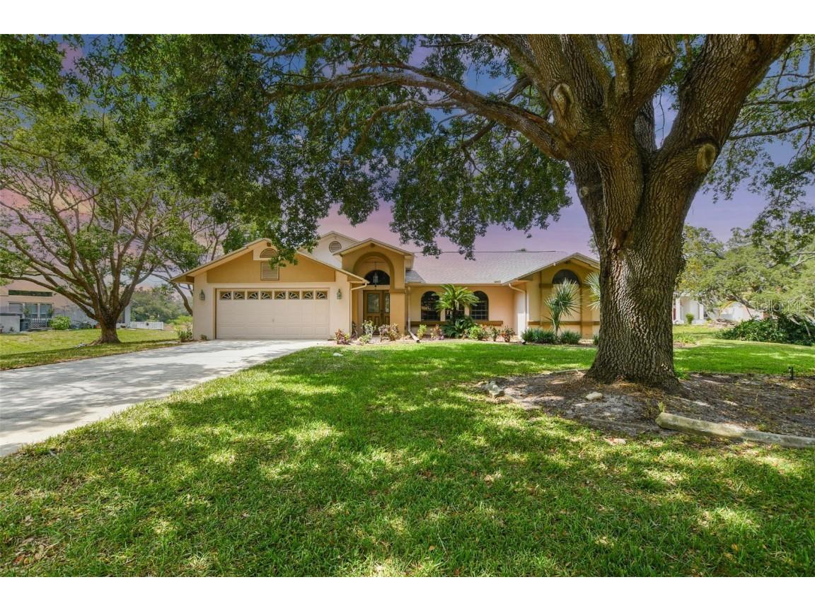 18652 Autumn Lake Boulevard Hudson FL 34667 T3449343 image1