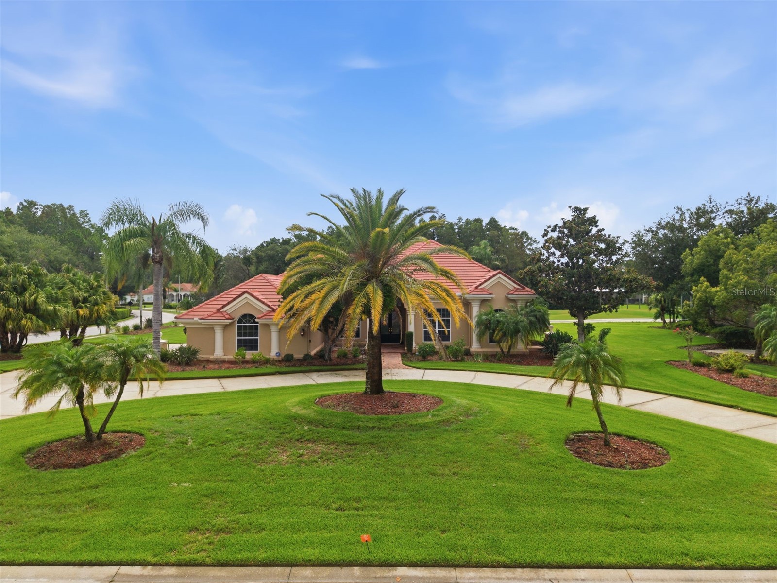 18655 Avenue Capri Lutz FL 33558 TB8529688 image1