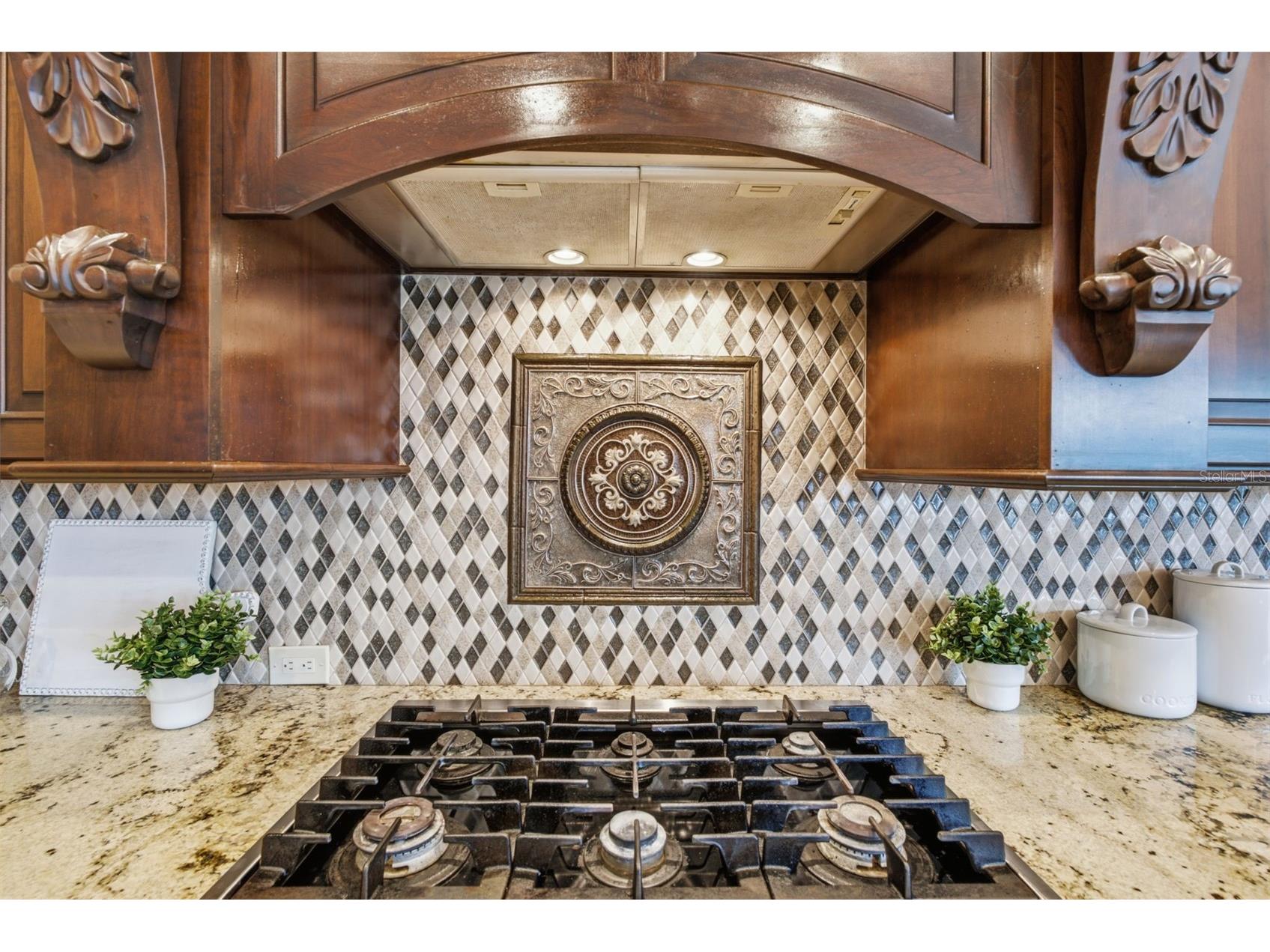 18655 Avenue Capri Lutz FL 33558 TB8529688 image13
