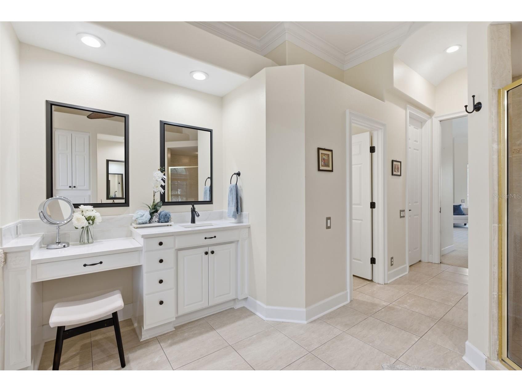 18655 Avenue Capri Lutz FL 33558 TB8529688 image38