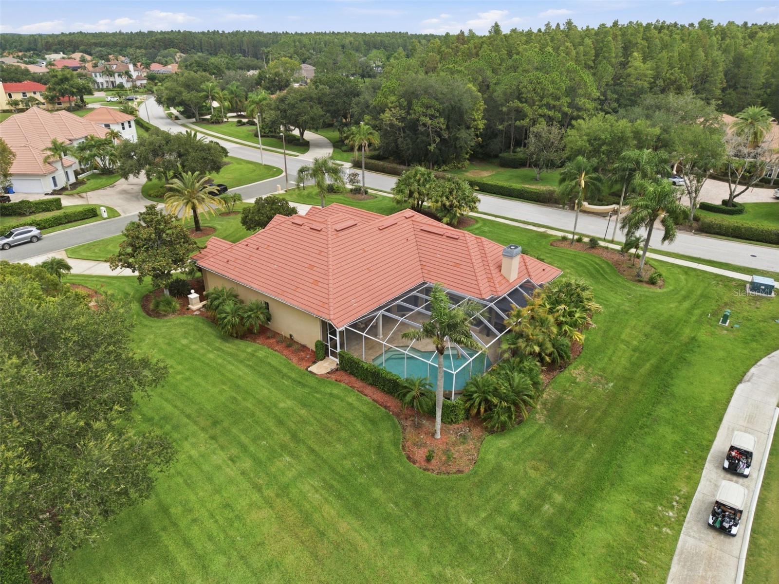 18655 Avenue Capri Lutz FL 33558 TB8529688 image46