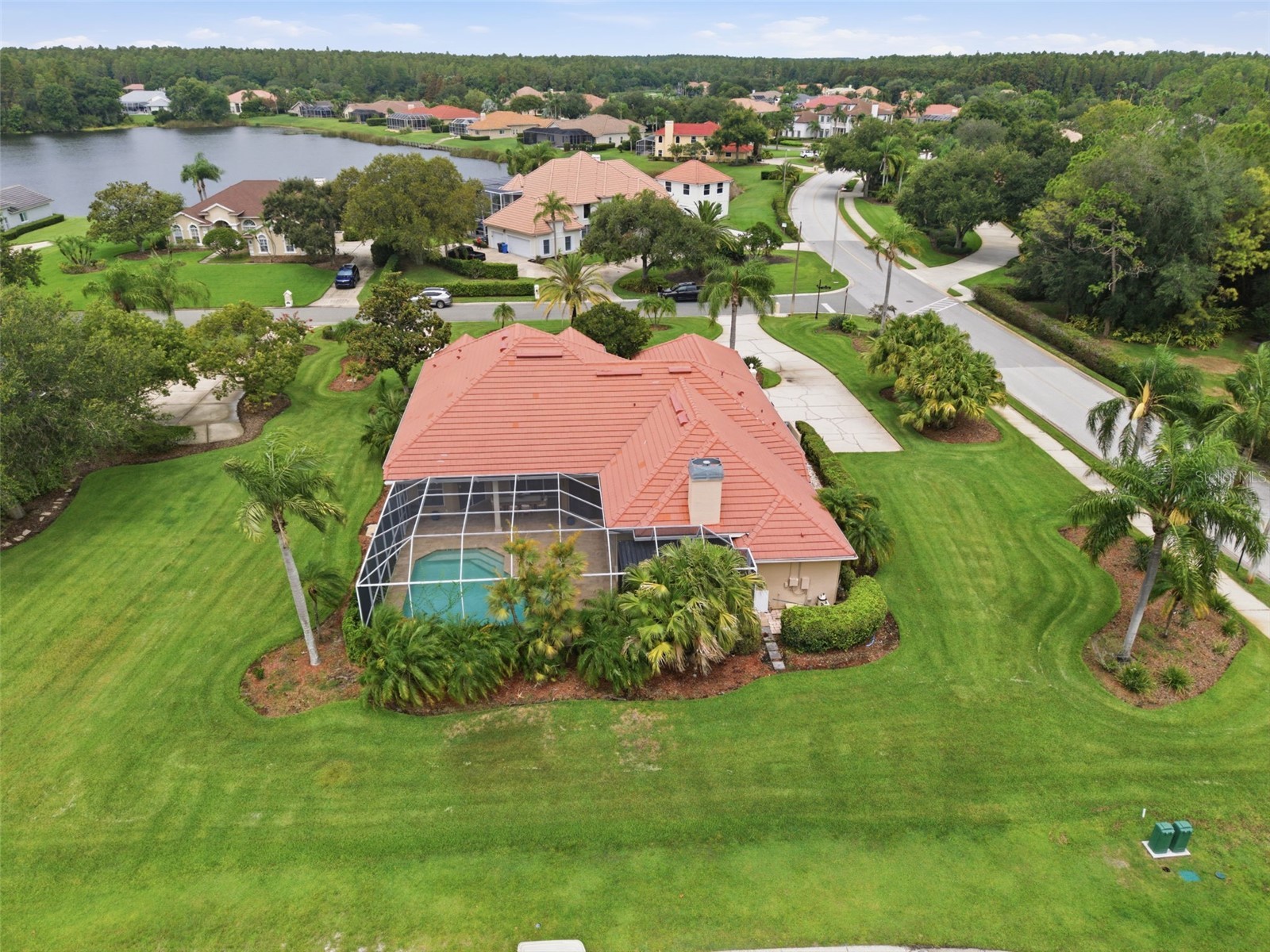 18655 Avenue Capri Lutz FL 33558 TB8529688 image47