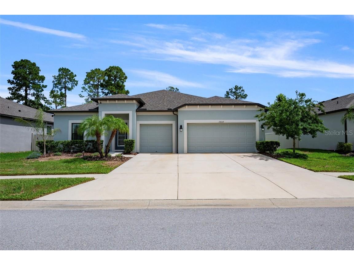 18657 Obregan Drive Spring Hill FL 34610 T3536045 image1