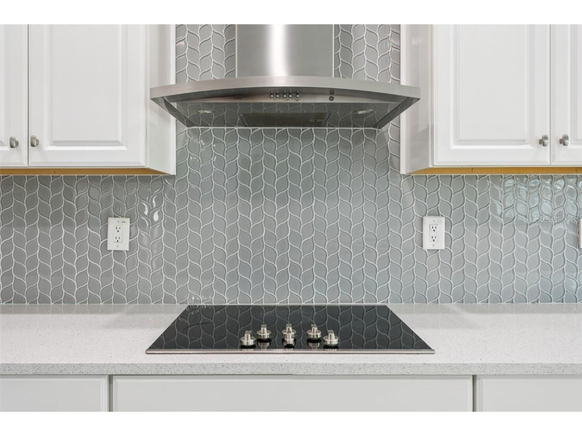 18657 Obregan Drive Spring Hill FL 34610 TB8382189 image14