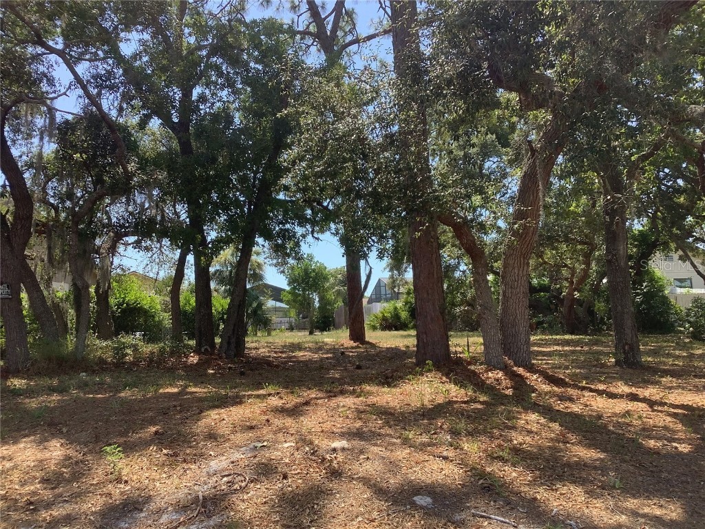 18657 White Pine Circle Hudson FL 34667 U8245764 image1